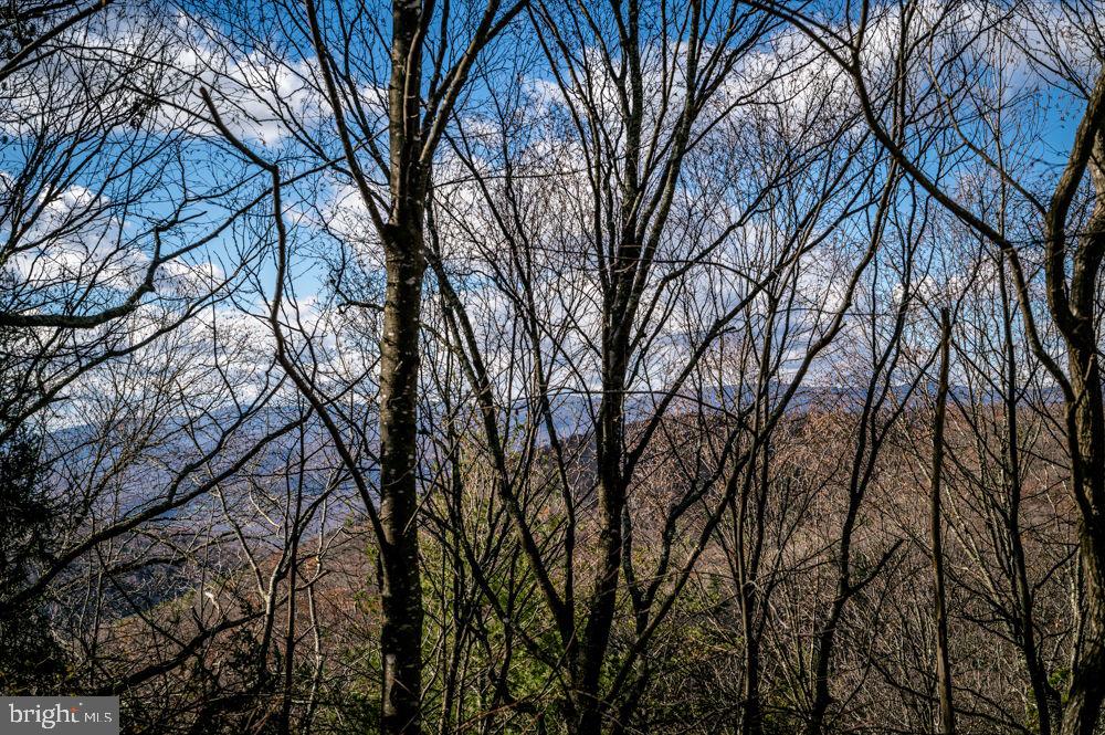BUCK RIDGES (FORMERLY TREASURE MOUNTAINS) - Land