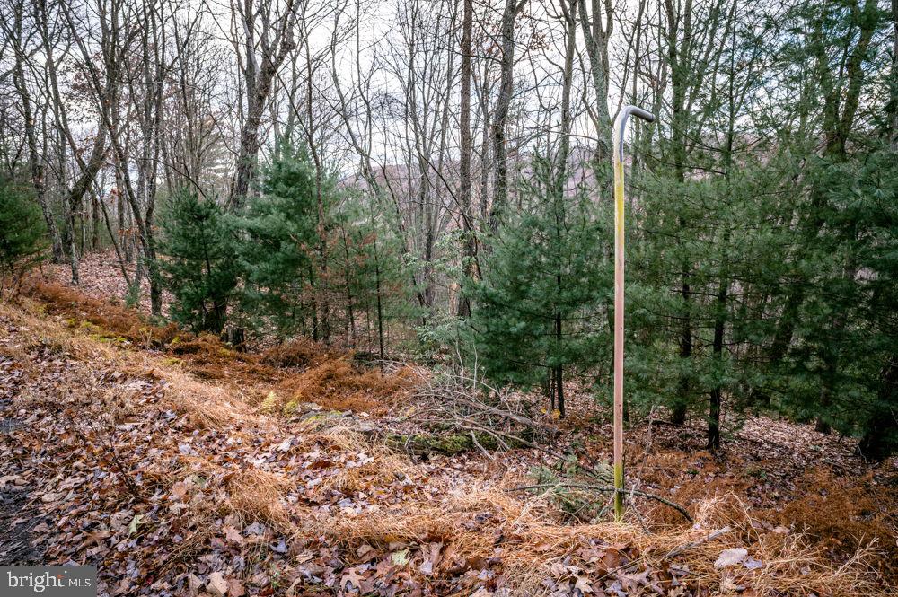 BUCK RIDGES (FORMERLY TREASURE MOUNTAINS) - Land