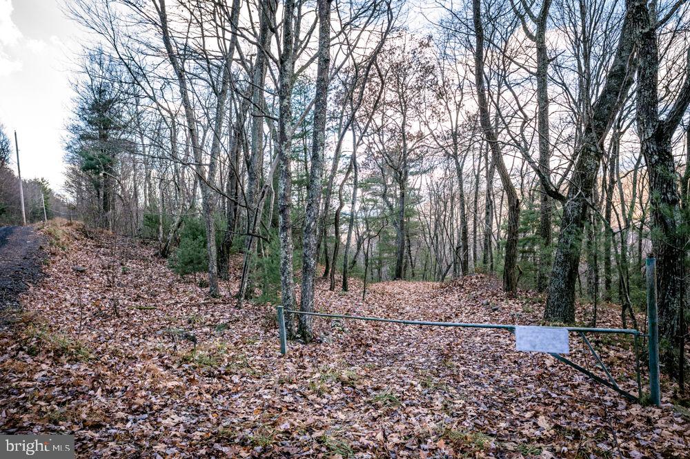 BUCK RIDGES (FORMERLY TREASURE MOUNTAINS) - Land