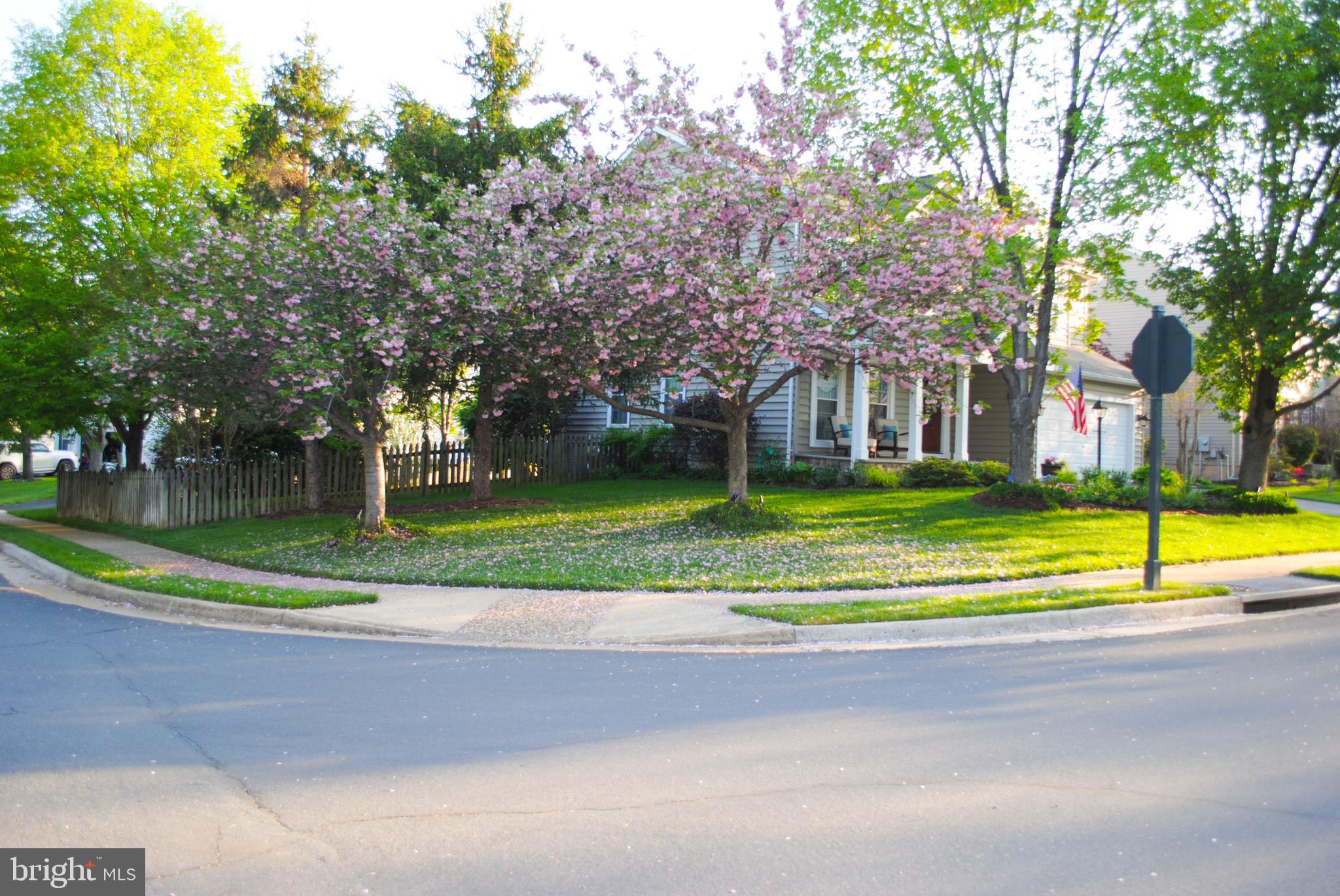 VILLAGES AT SAYBROOKE - Residential