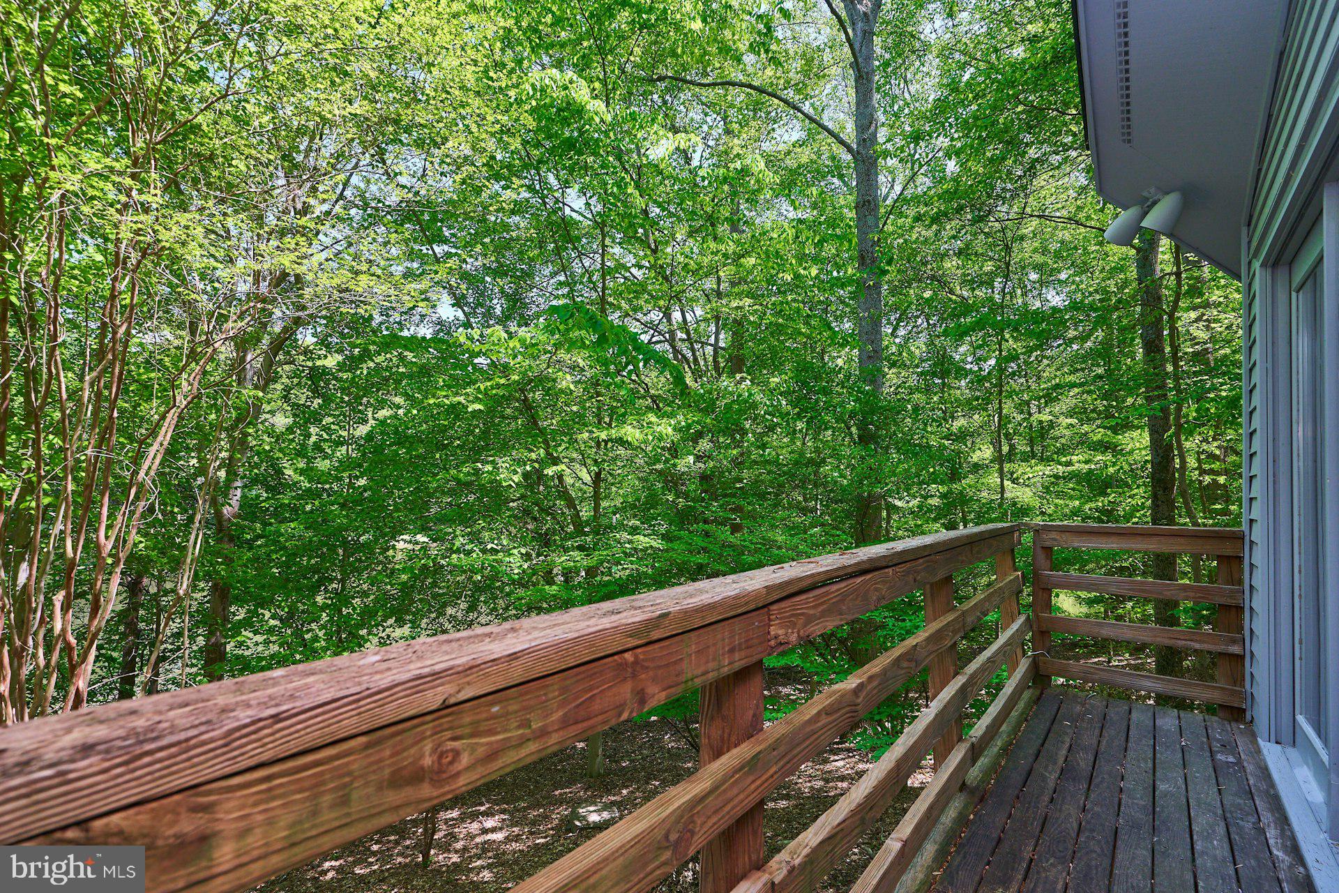 WALKER WOODS LAKE - Residential