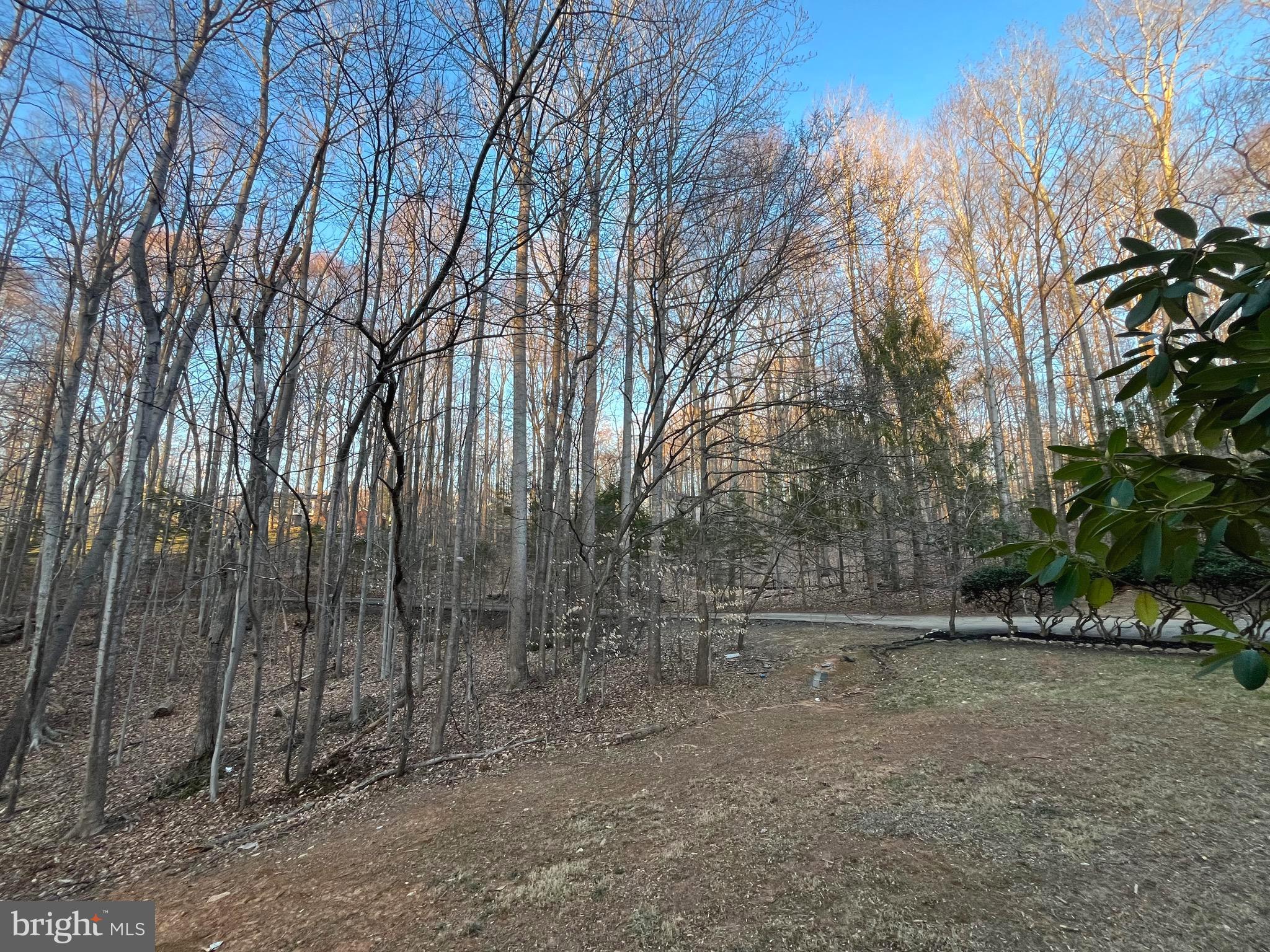 CANNON BLUFF ESTATES - Residential