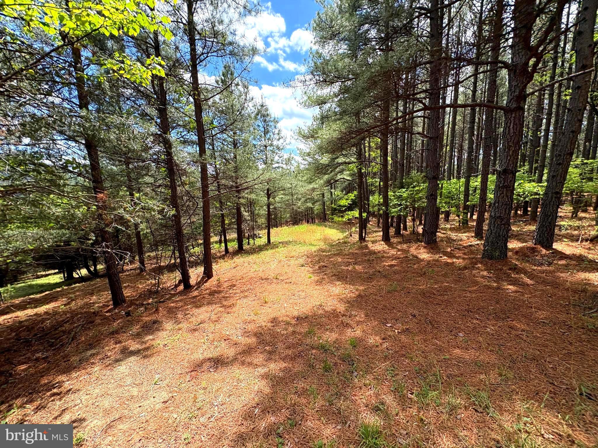 It is rare to find mountain land that feels this wild and this accessible at the same time. This property delivers exactly that, with the best parts of a true Appalachian setting: mature timber, abundant wildlife, privacy, a creek running through the property, and room to roam, all without giving up good roads, gated access, and a usable setup already in place. This 20.74-acre wooded tract is ready to enjoy from day one. The property has attractive topography, a strong potential home site, an installed driveway with a gate, an RV pad, and electricity along the boundary. Bring the camper, spend the weekend, hunt, hike, enjoy the creek, or start planning the cabin. The groundwork is already here. The land has real character. A stand of towering pines gives the property a distinct feel, while the mixed hardwoods add variety, cover, and year-round appeal. The creek adds another layer of charm and natural appeal, making the setting feel even more private and alive. It is the kind of woods where deer, turkey, and bear commonly move through the area. Ashton Woods is a major part of the draw. This private mountain community offers gated access, good interior roads, and private subdivision access to the expansive 10,675-acre Nathaniel Mountain Wildlife Management Area. You are also close to the South Branch of the Potomac River and within about 45 minutes of skiing and year-round recreation in Canaan Valley. For buyers coming from the DMV, the location works. With convenient access from Corridor H, you are well within a two-hour drive of much of the Washington, D.C. metro area, making this an easy weekend escape without spending half your time on the road. Private, usable, improved, and full of wildlife, this Ashton Woods property offers the rare combination buyers are looking for: true mountain character, a creek, and the access and improvements that make it easy to actually use.