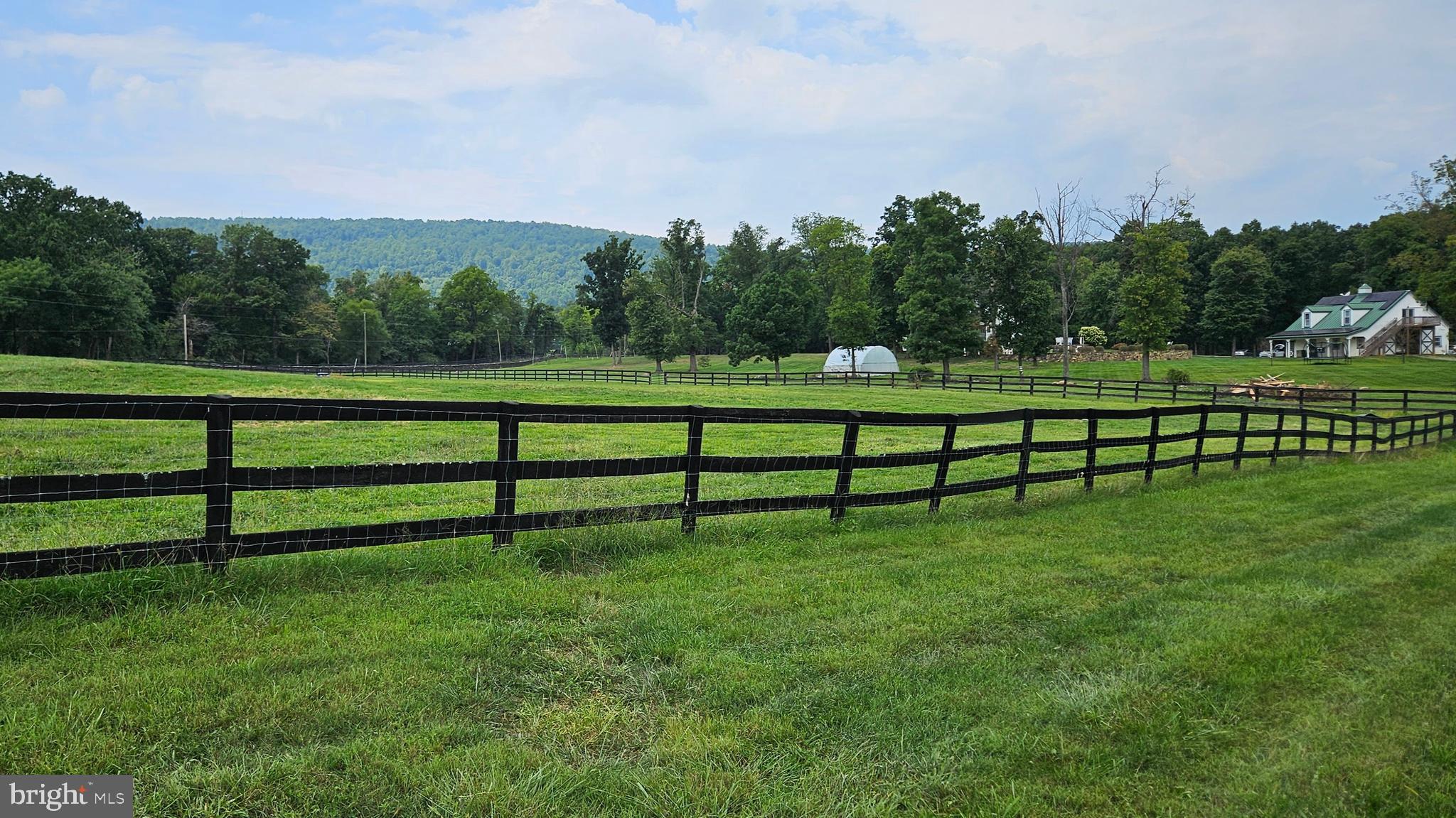 BLUEMONT - Residential