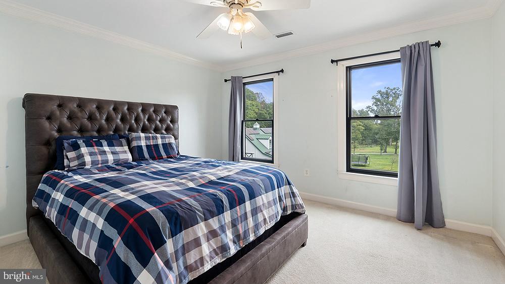 BLUEMONT - Residential