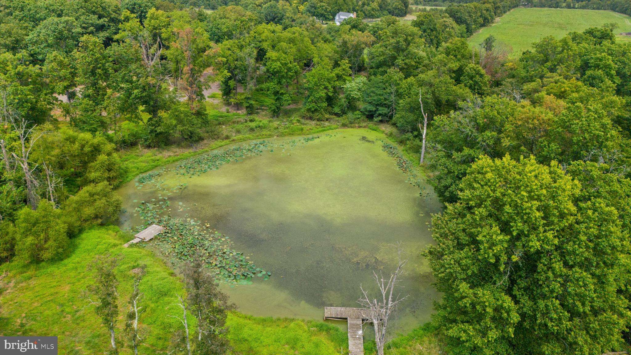 BLUEMONT - Residential