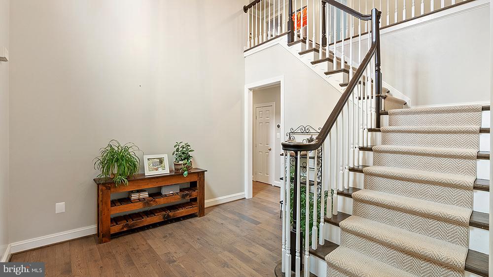BLUEMONT - Residential
