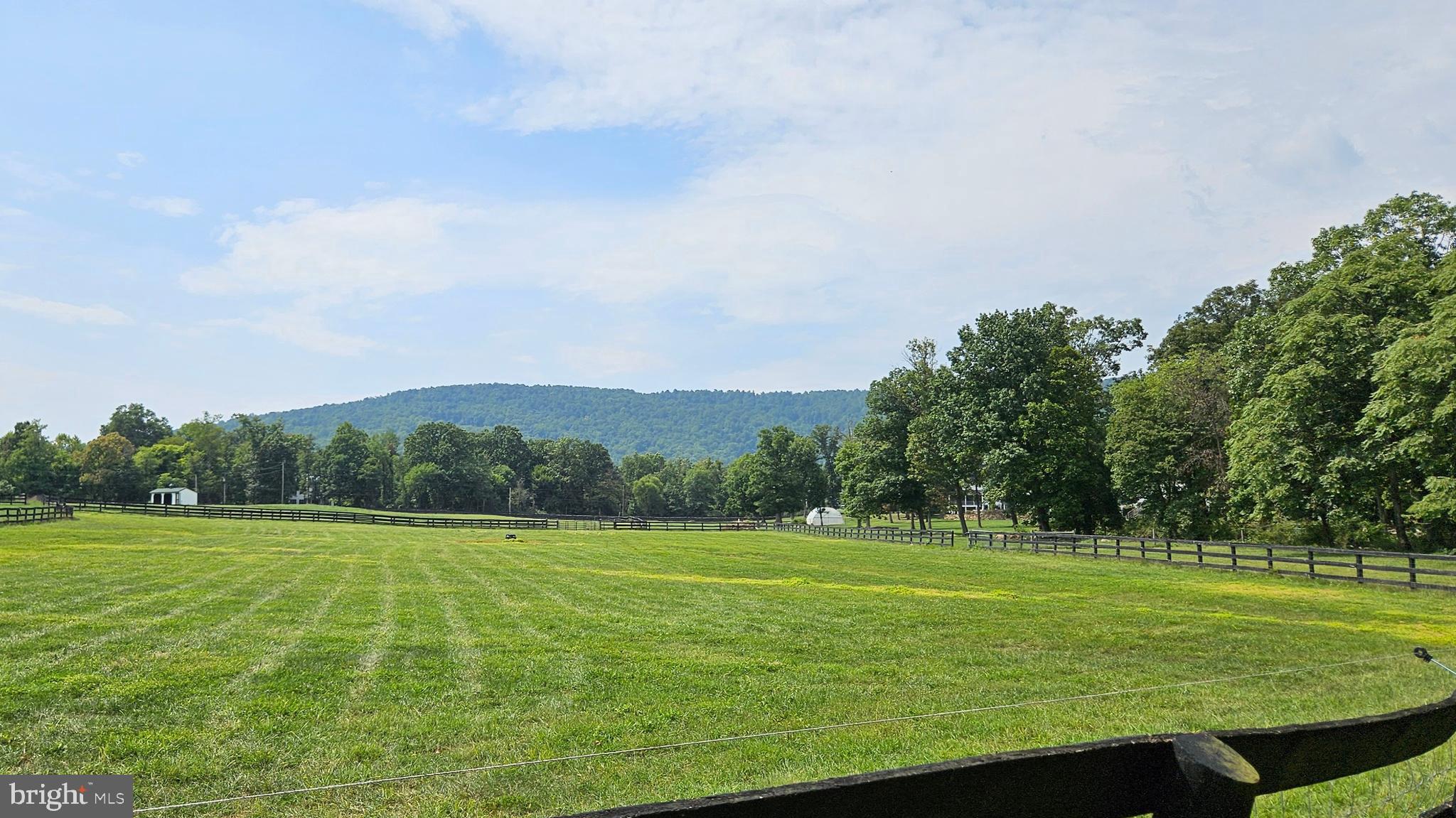 BLUEMONT - Residential