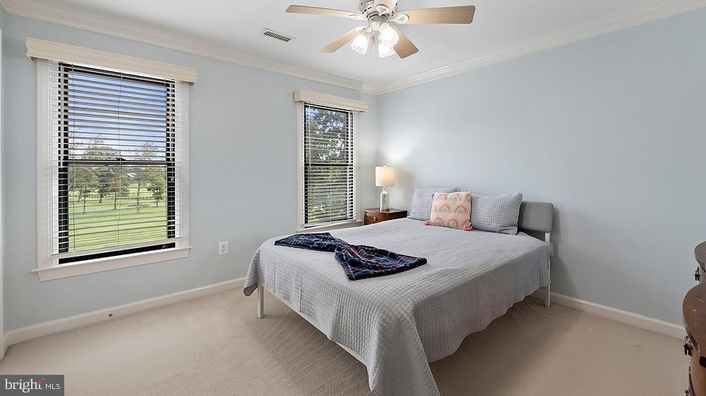 BLUEMONT - Residential