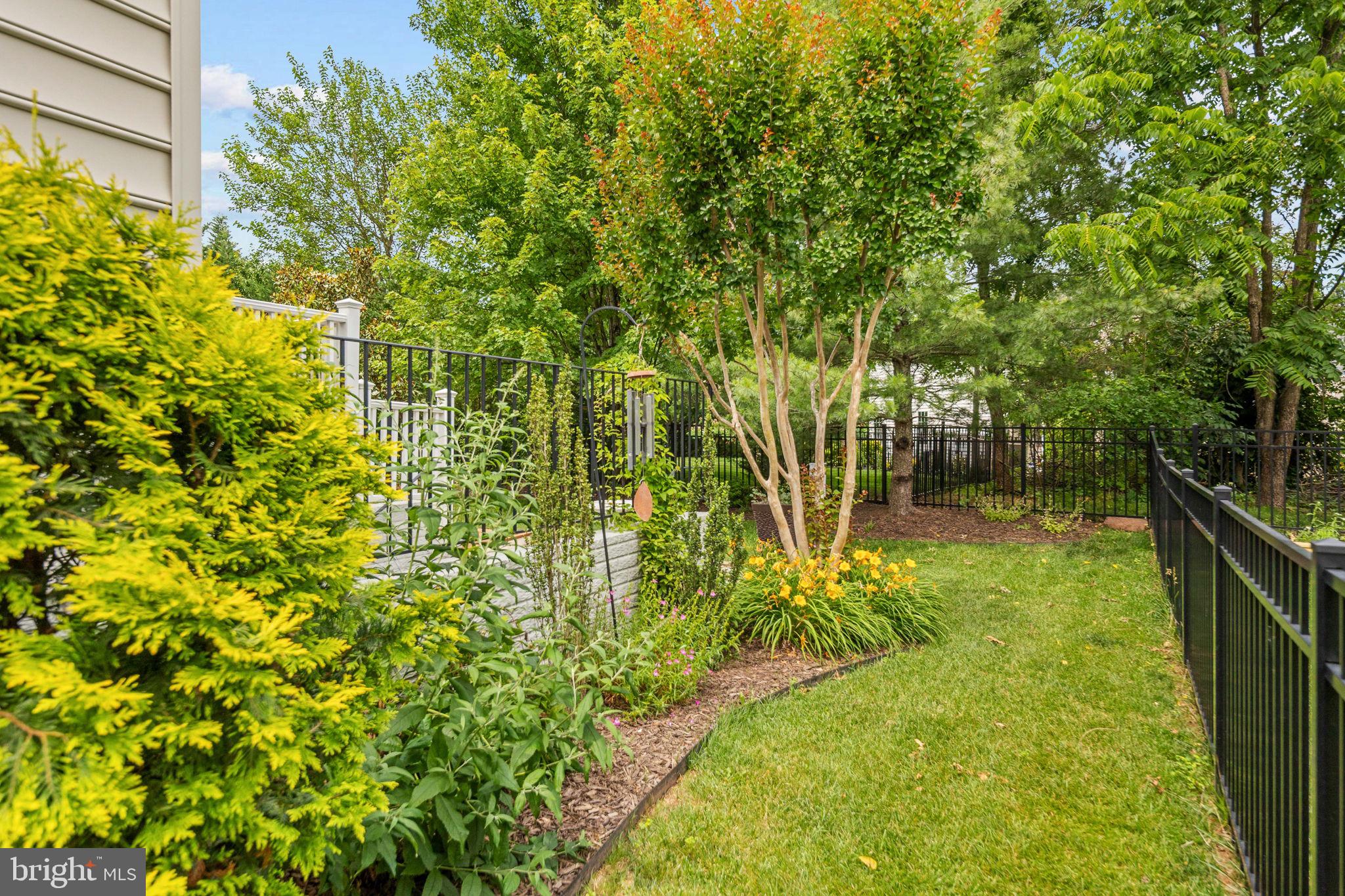 PIEDMONT MEWS - Residential
