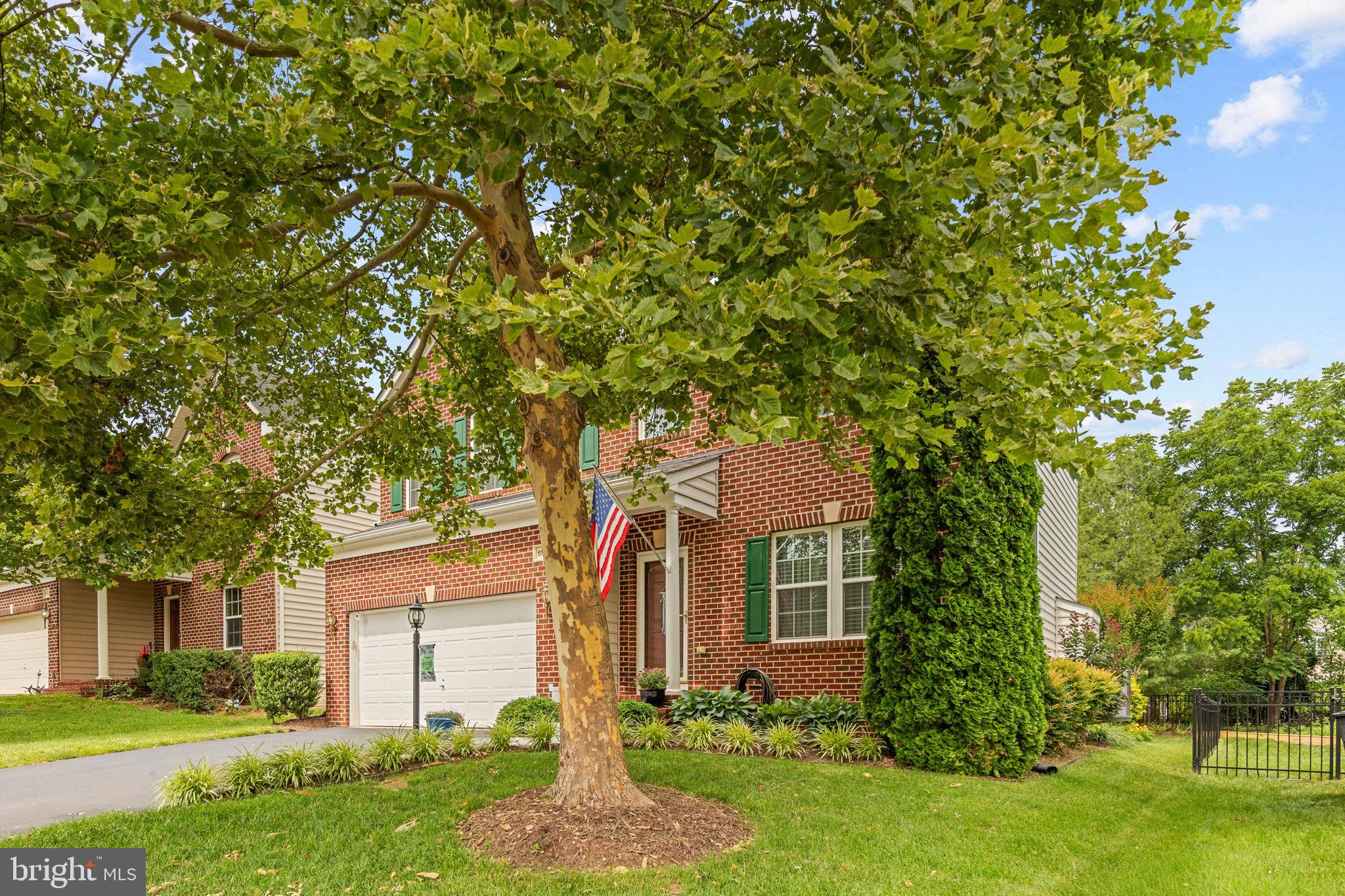 PIEDMONT MEWS - Residential