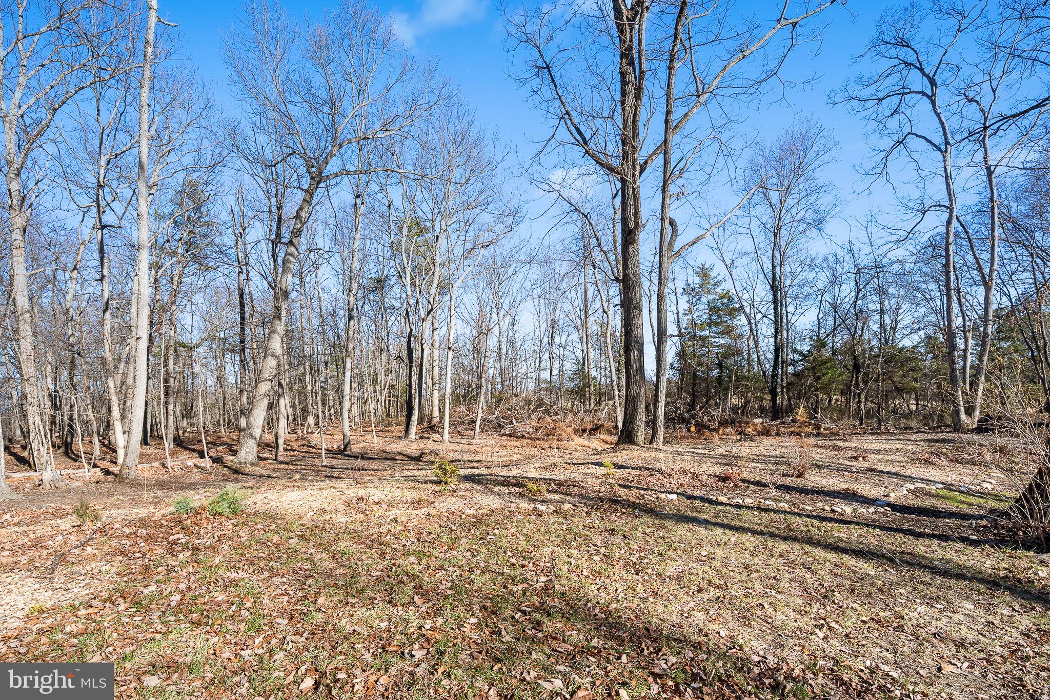 BULL RUN MOUNTAIN ESTATE - Residential