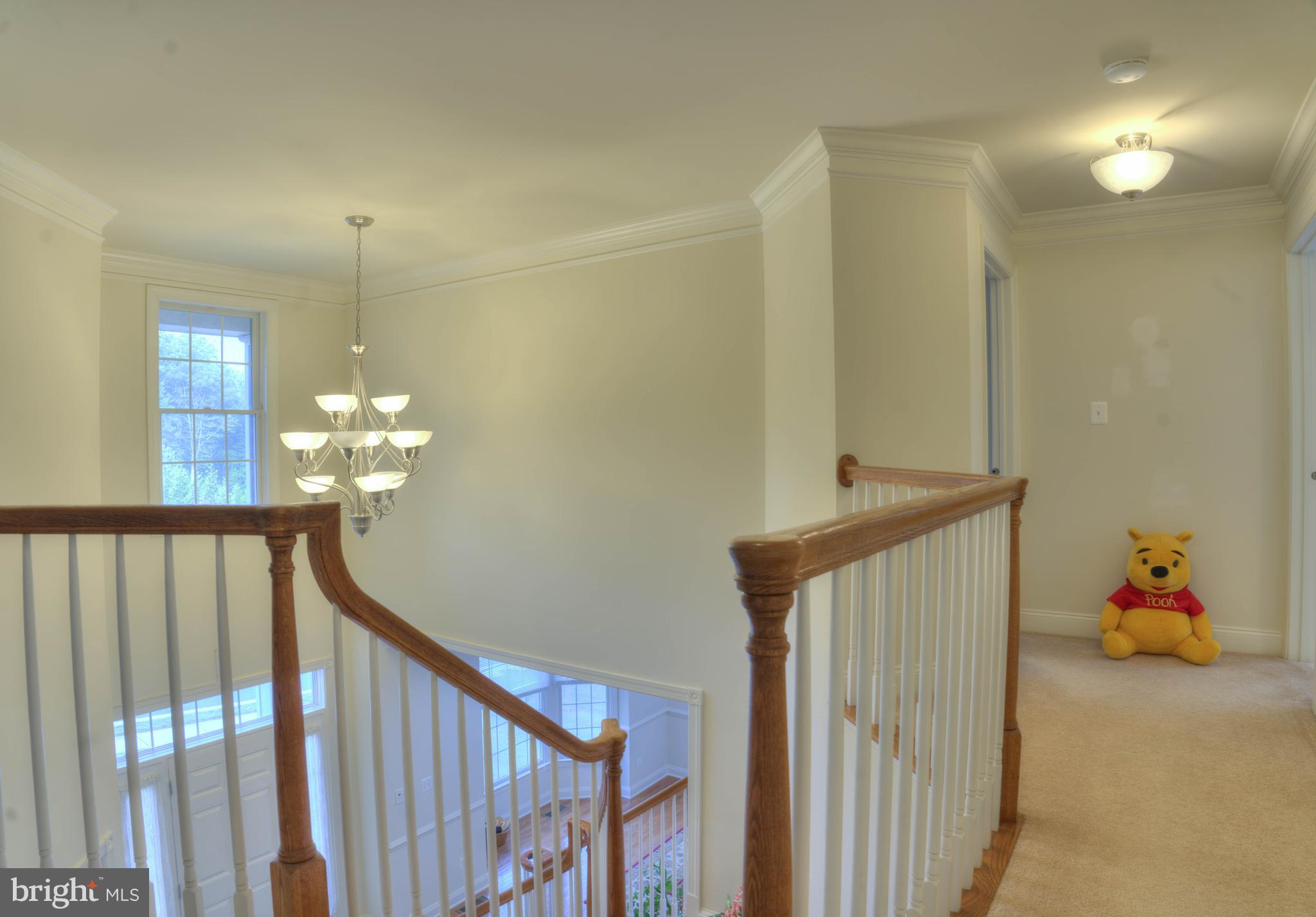 THE ESTATES AT CEDARDAY - Residential