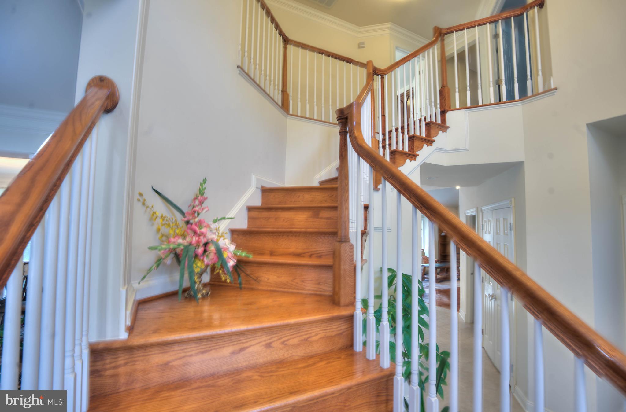 THE ESTATES AT CEDARDAY - Residential