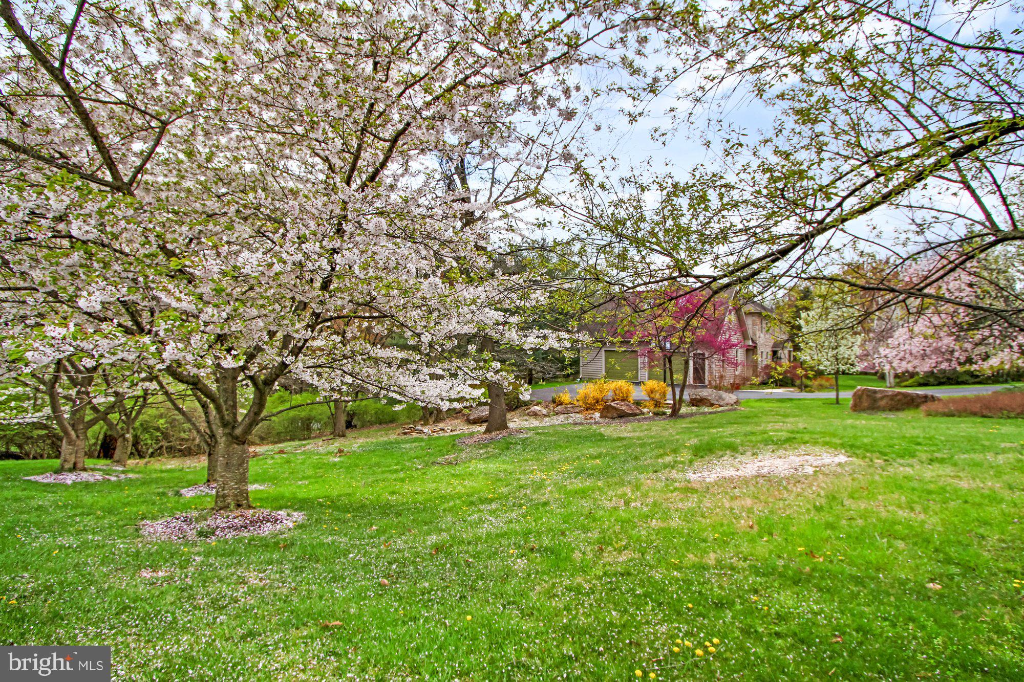 ROCKY RIDGE - Residential
