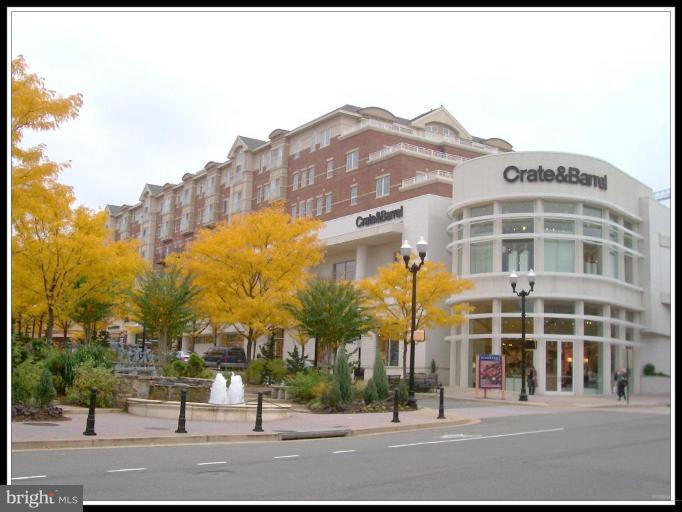 COURTHOUSE HILL - Residential Lease