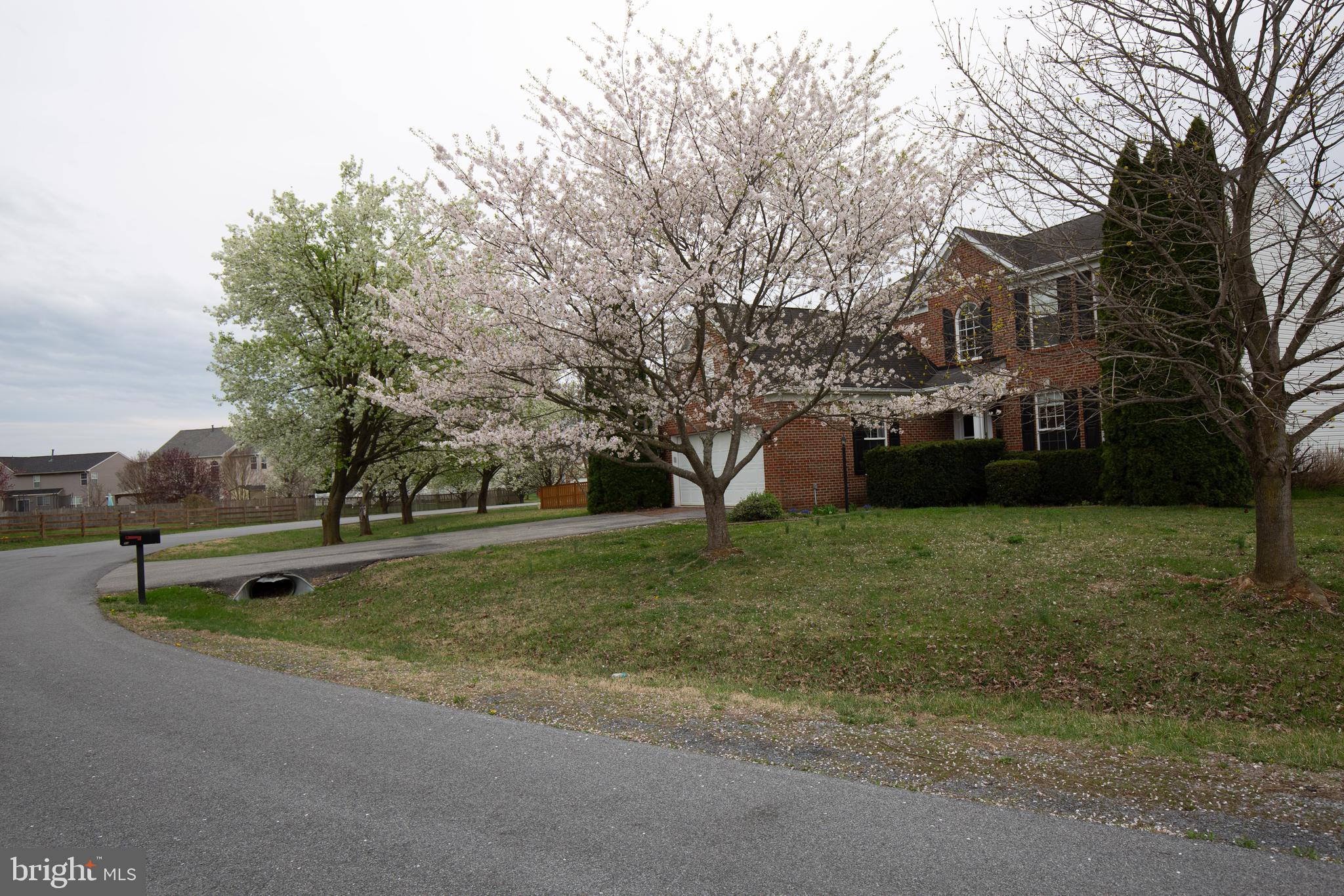 LOCUST HILL - Residential Lease