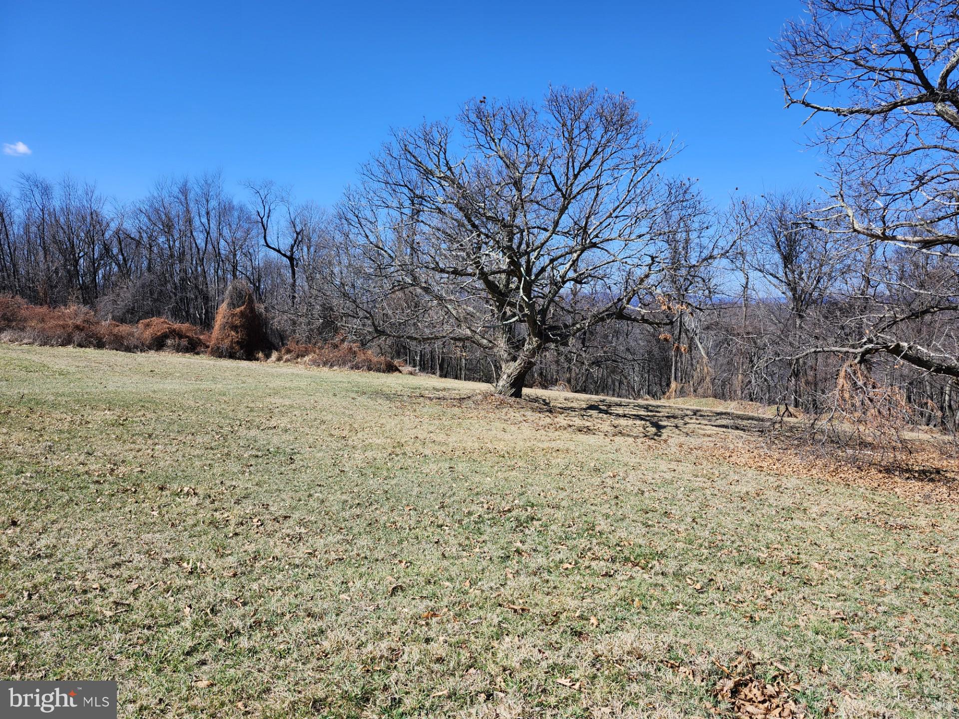 HIGH MOUNTAIN ORCHARD - Land