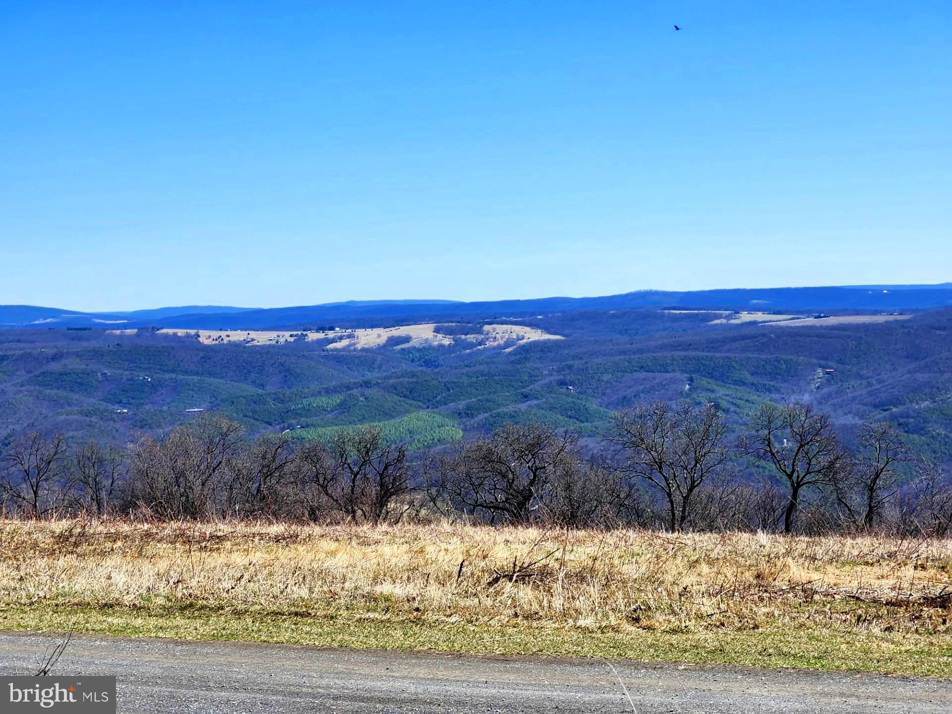 HIGH MOUNTAIN ORCHARD - Land