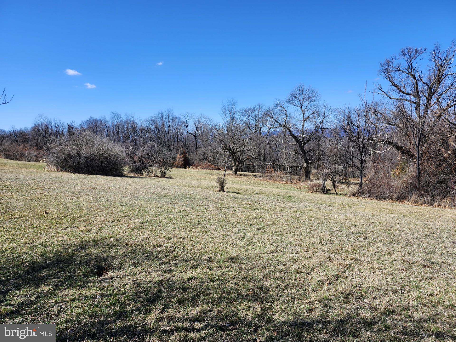 HIGH MOUNTAIN ORCHARD - Land