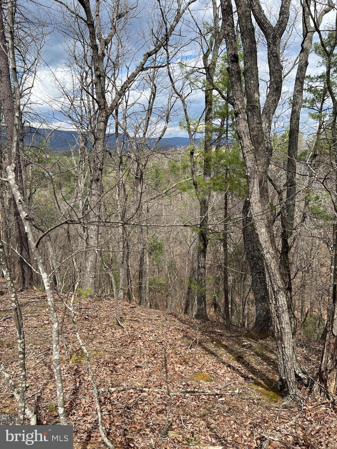 Lots with great views are like ocean front property! They are hard to find! Check this out. It may be the perfect lot for your dream home with a screened porch and deck looking toward Great North Mountain! You're gonna love it!