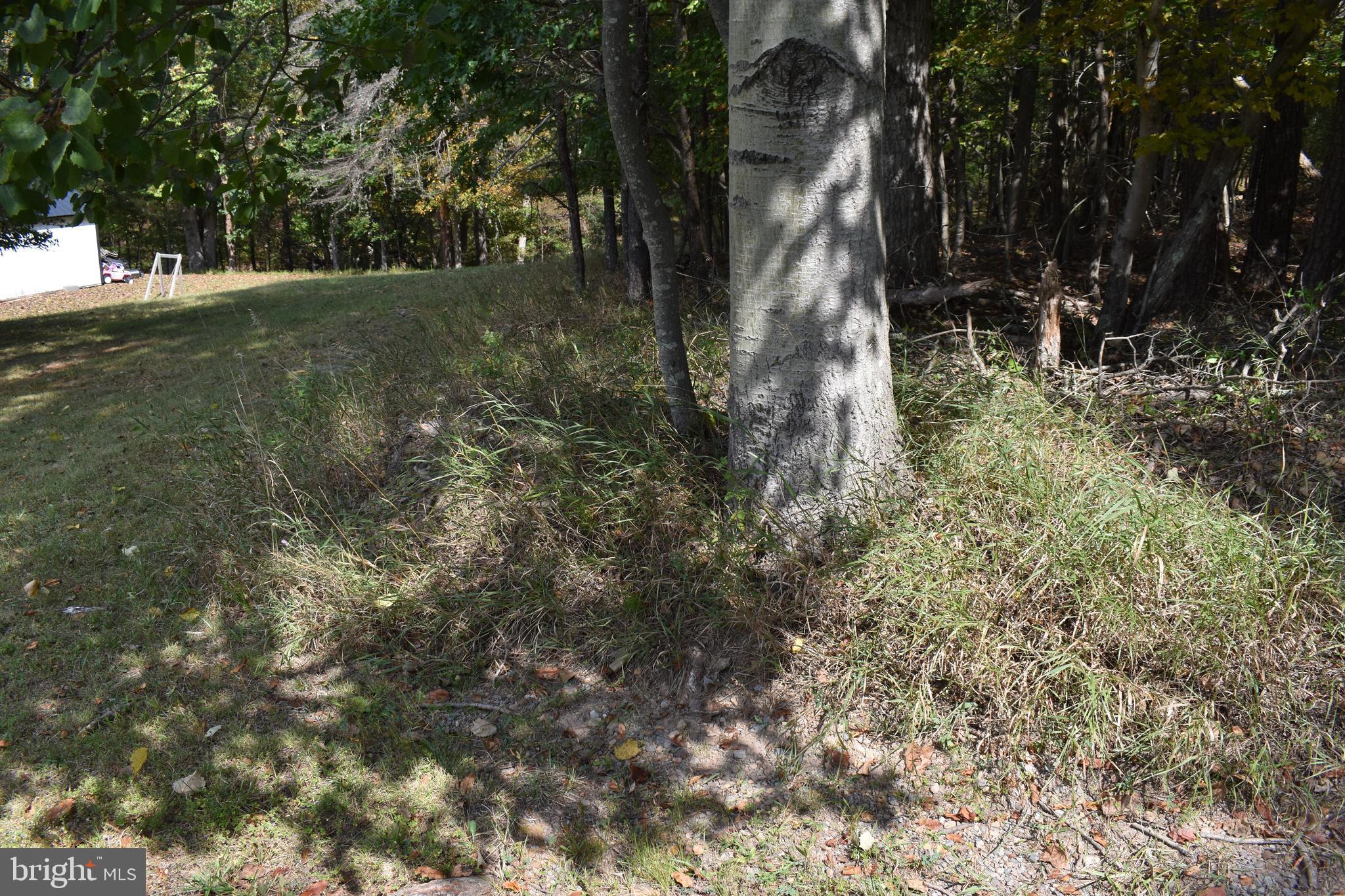 OLD MORGAN FARMS - Land