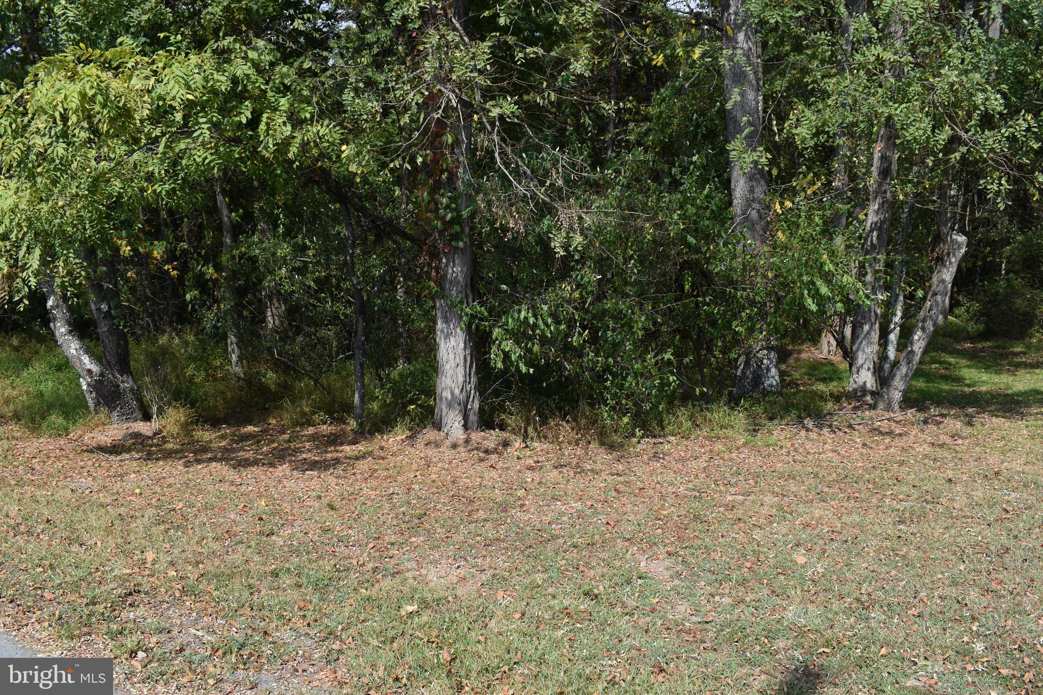 OLD MORGAN FARMS - Land