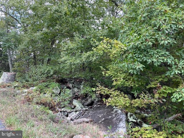 SHAWNEELAND - Land