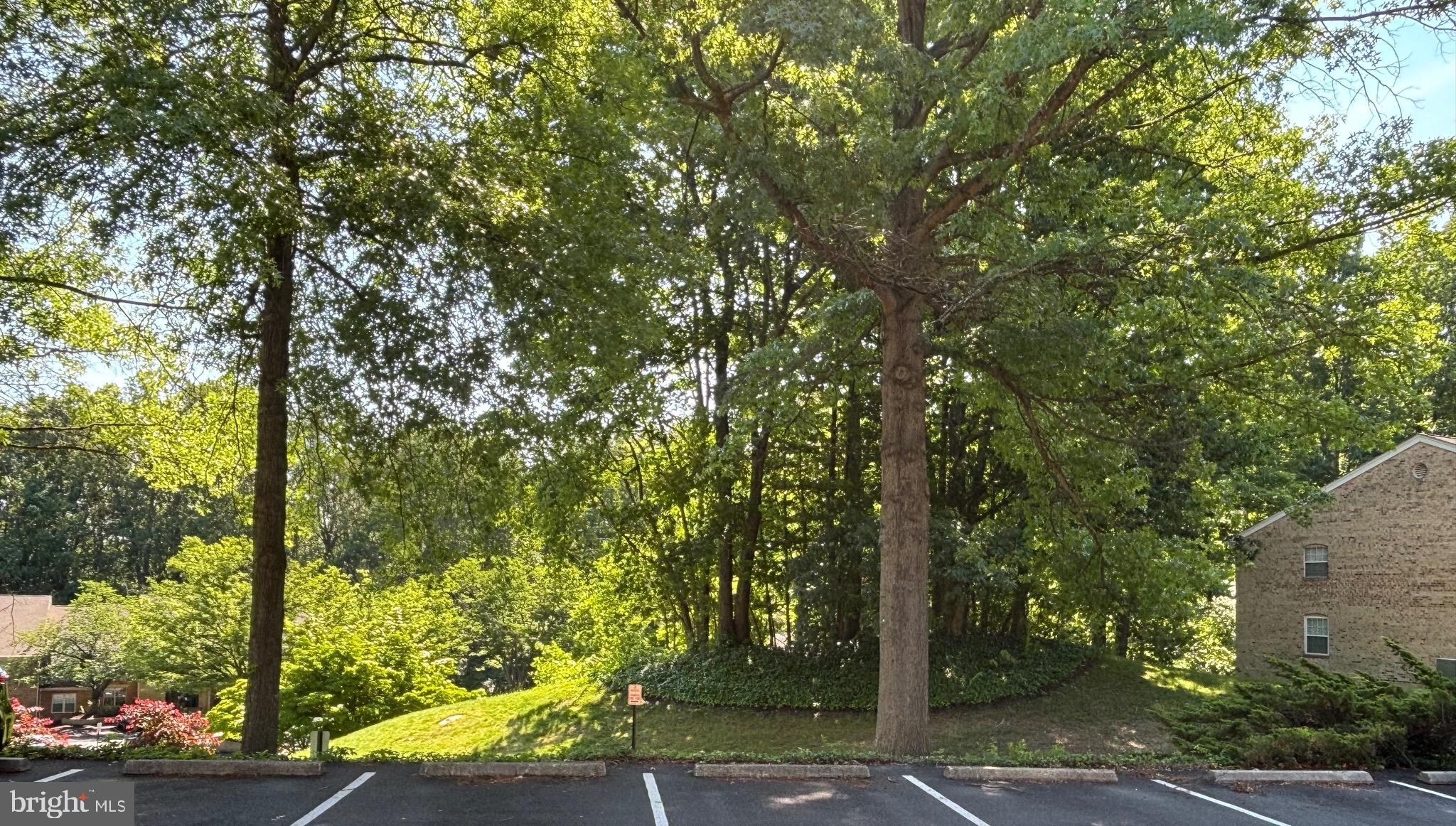 BURKE COVE - Residential