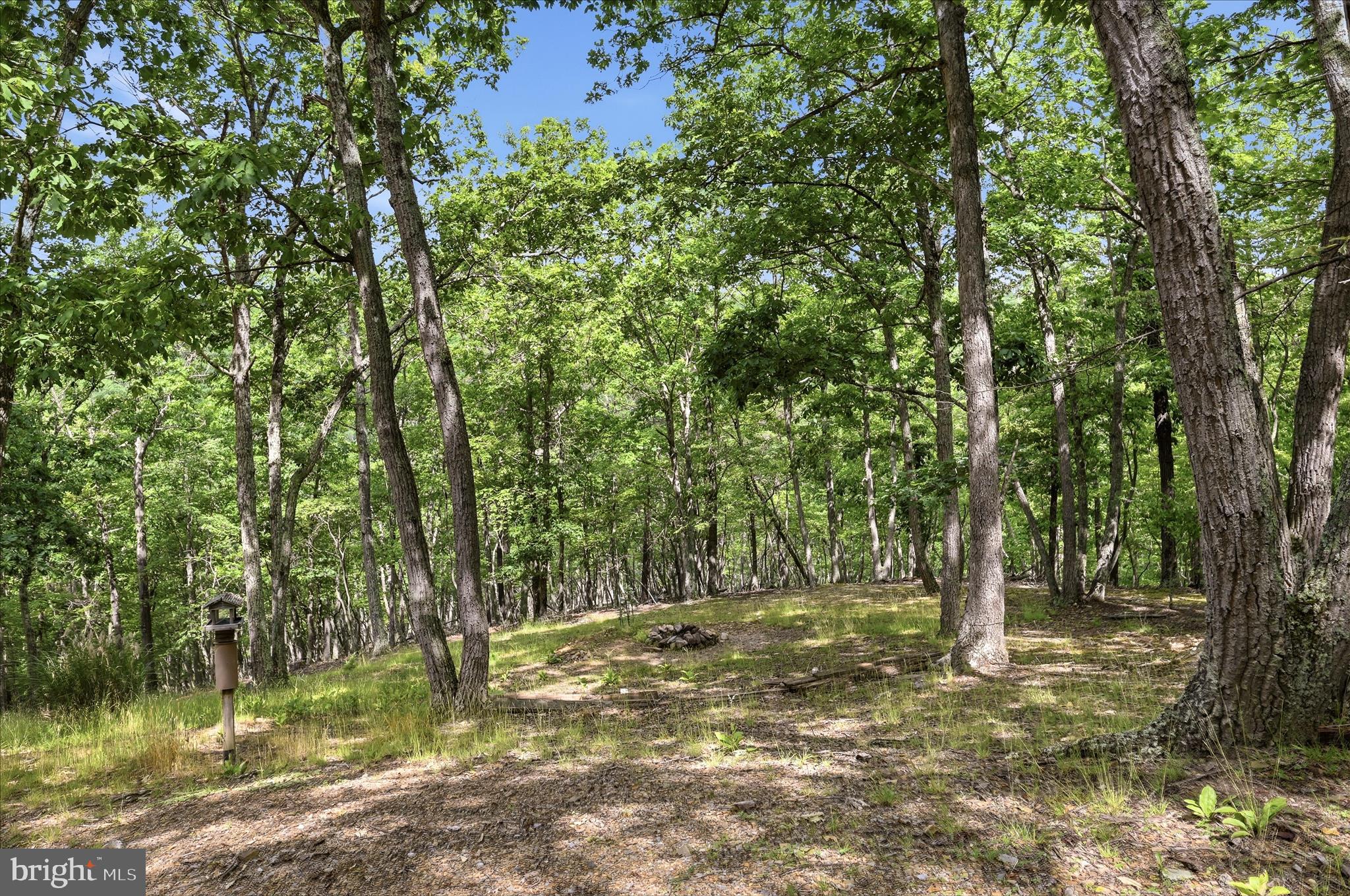 THE CROSSING AT GREAT CACAPON - Residential