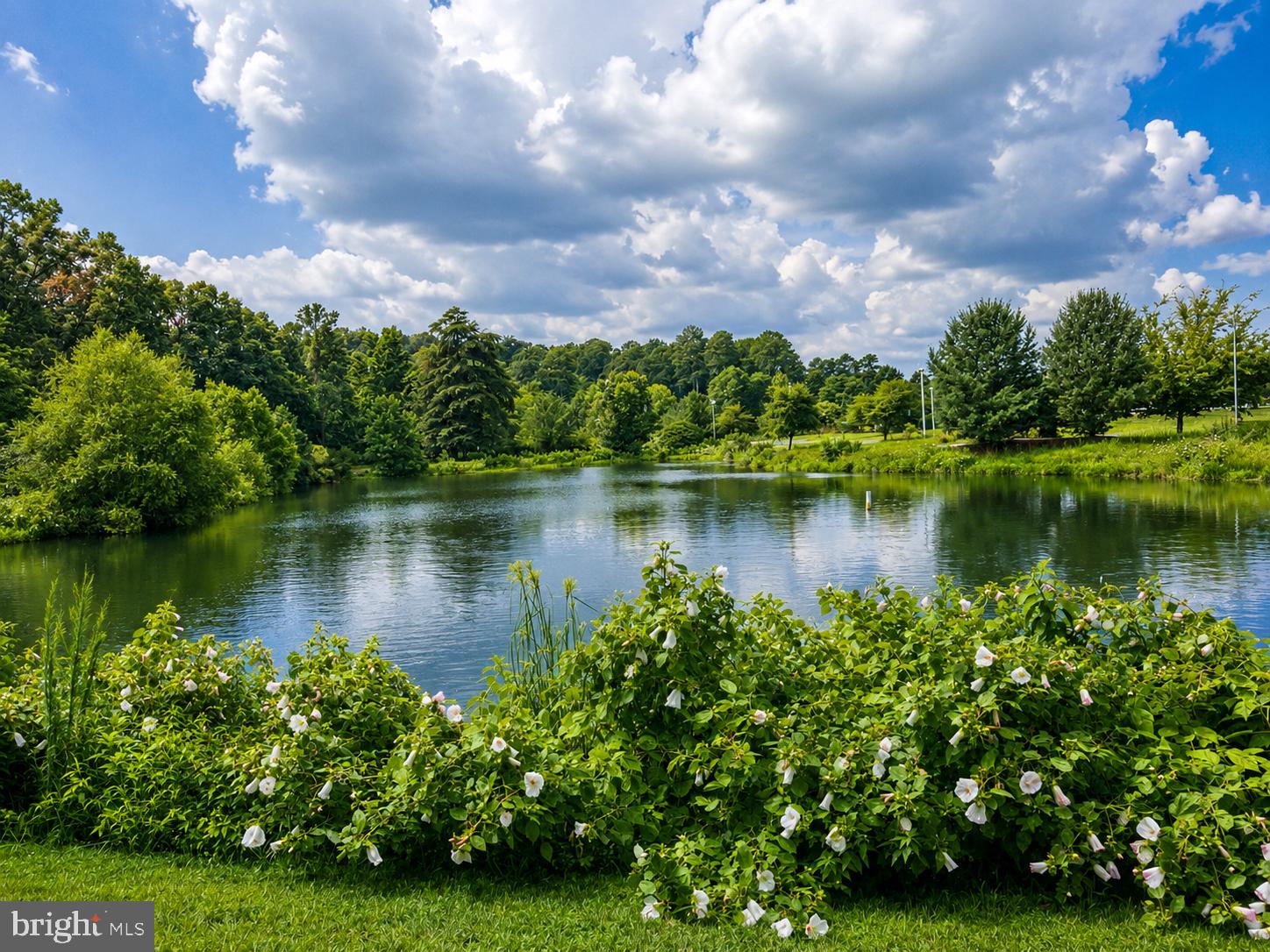 POTNETS LAKESIDE - Residential