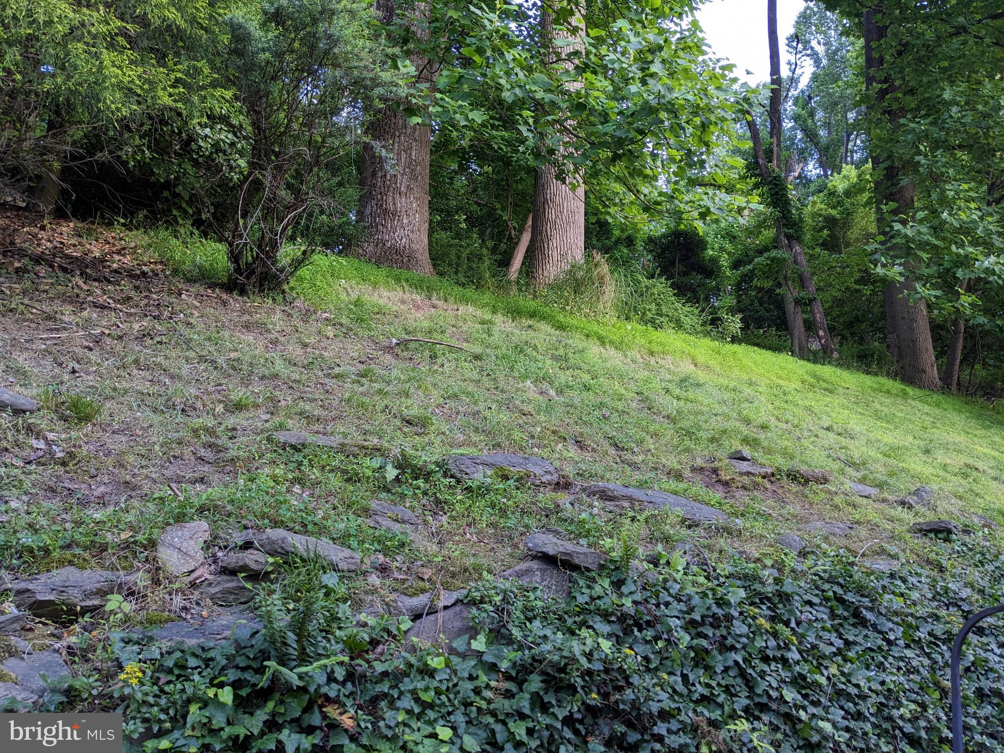 DICKEY RIDGE - Residential