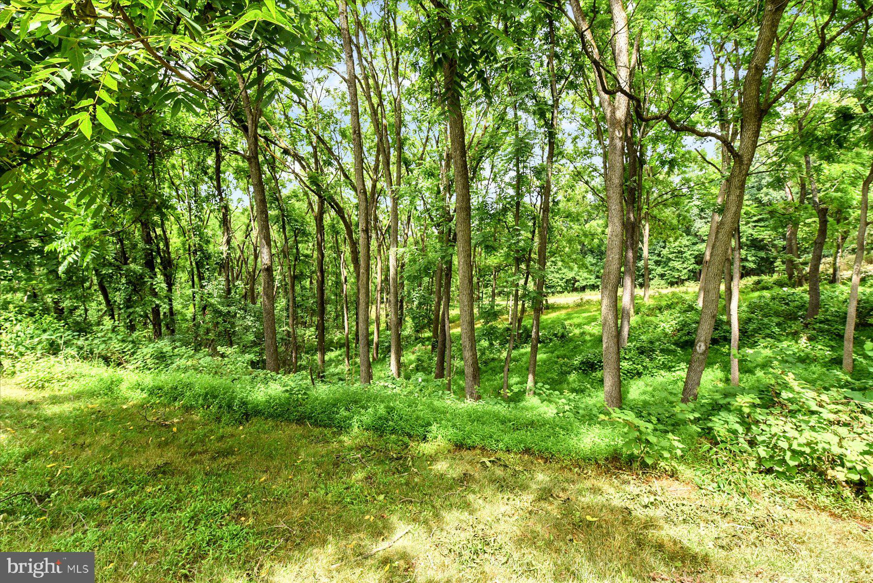 HUNTFIELD - Residential