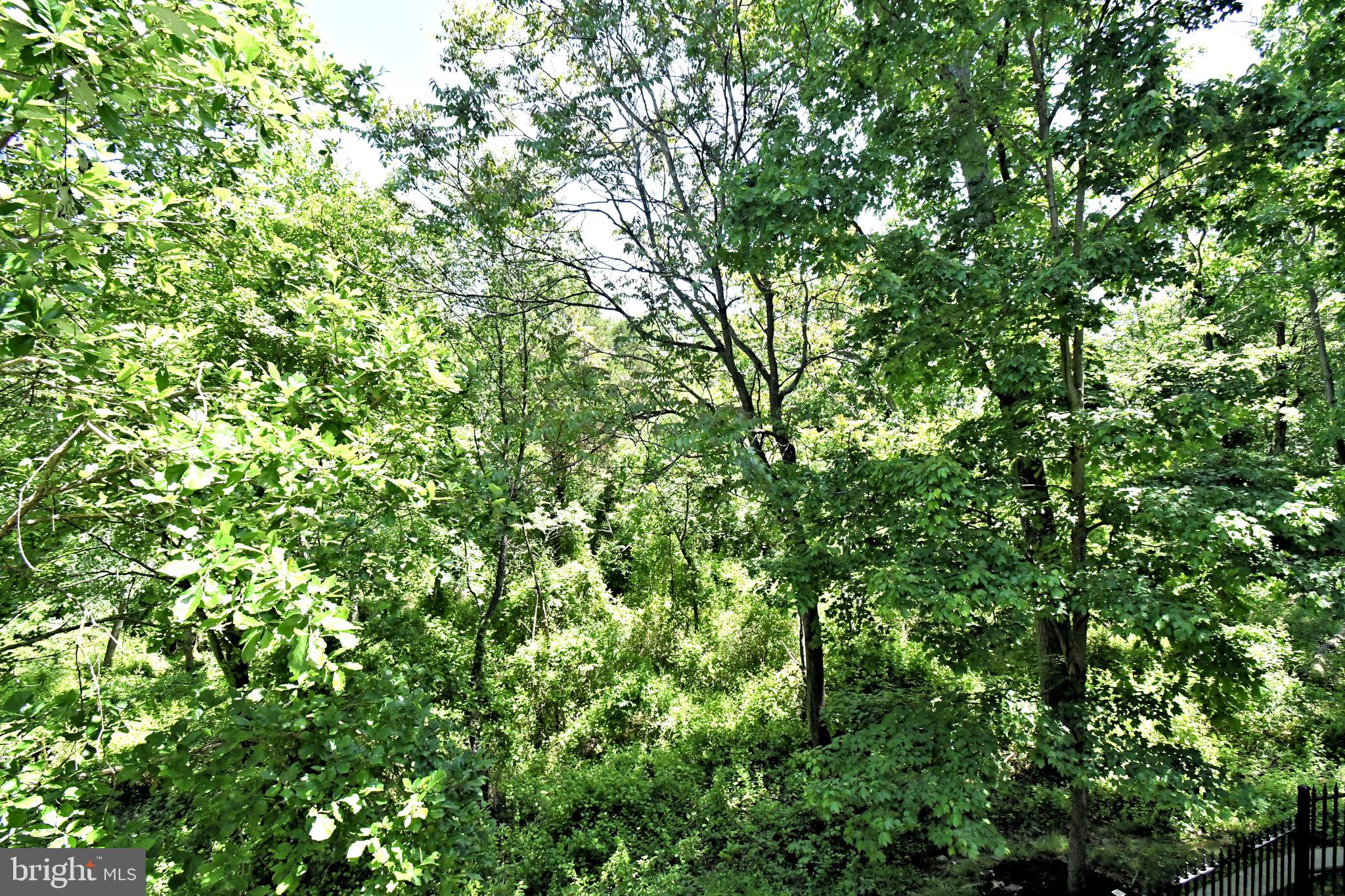 WILLISTOWN HUNT - Residential