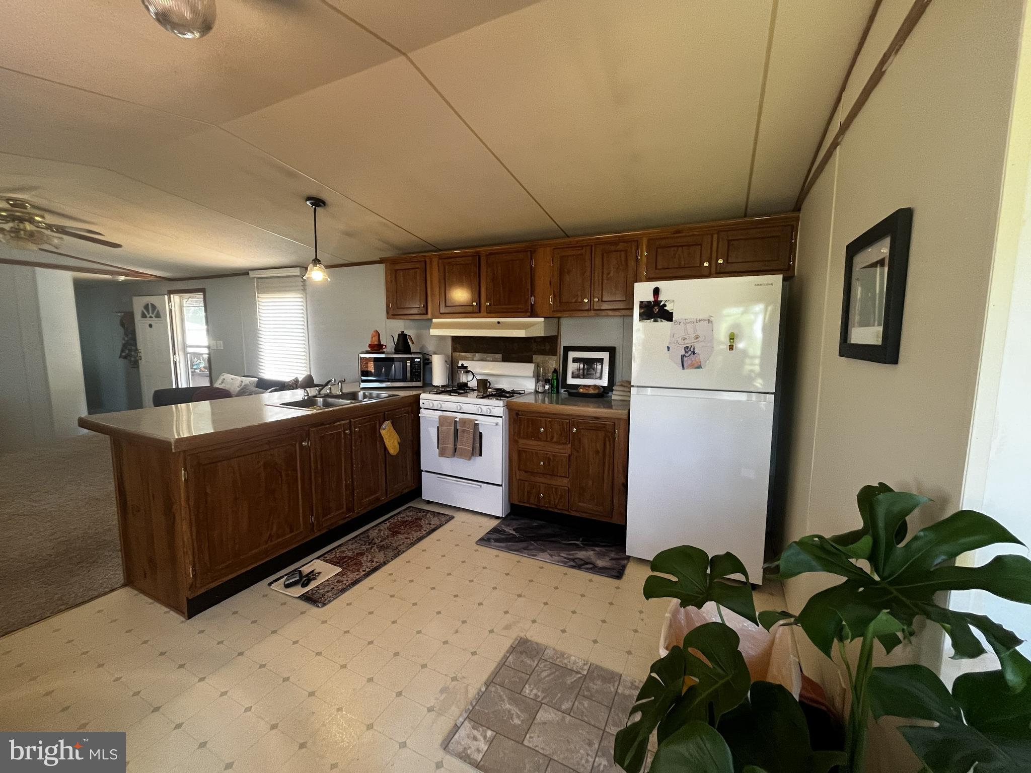 LOWER SWATARA TOWNSHIP - Residential