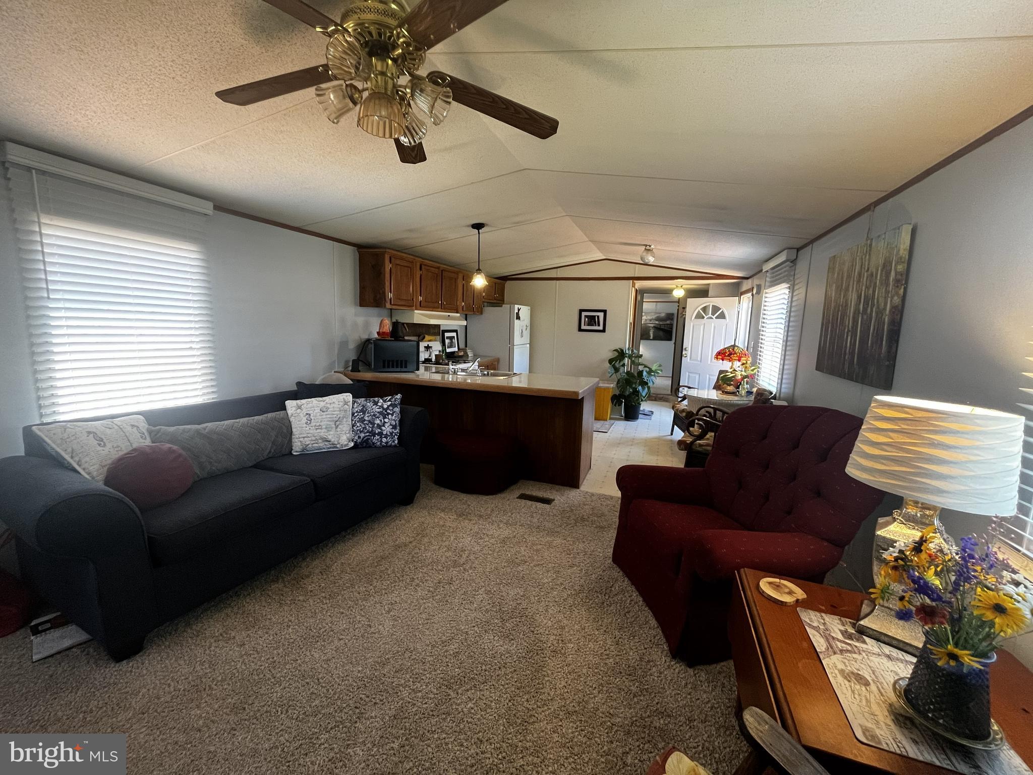 LOWER SWATARA TOWNSHIP - Residential