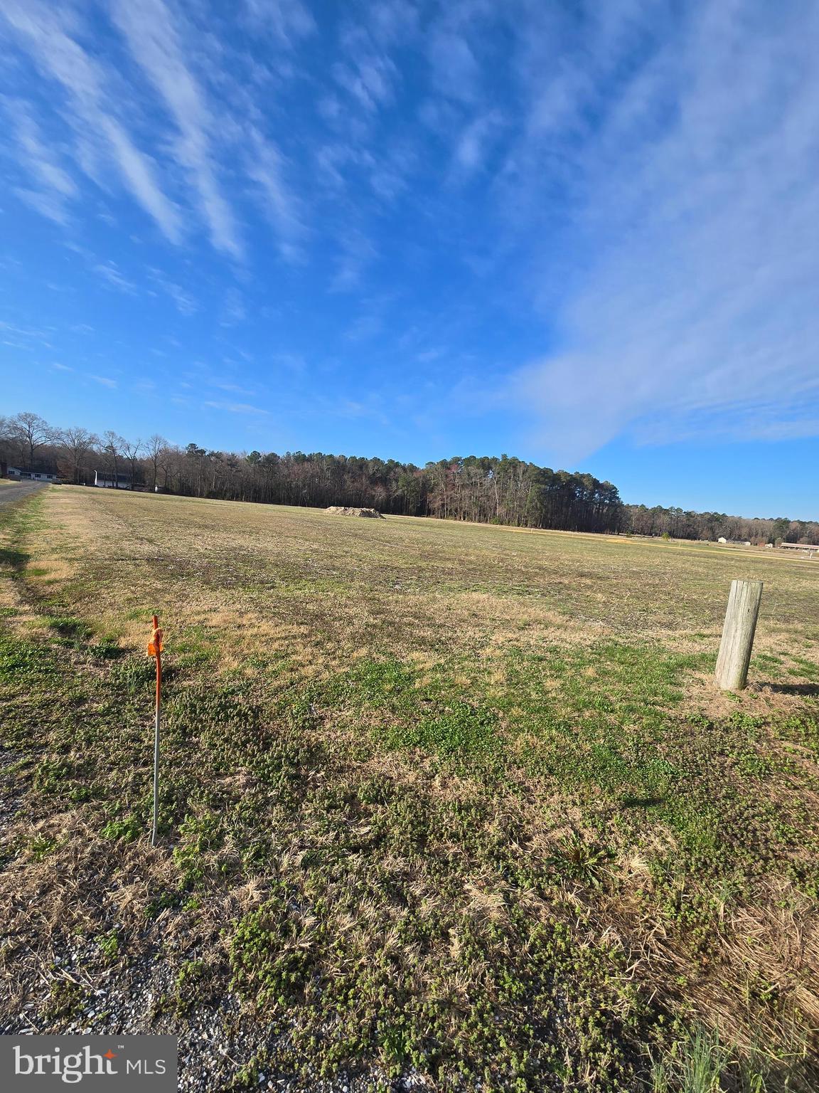 Cleared acre Ready to Build!  No chicken houses in sight! Site evaluation on file for cap and fill LPP ! Looking for a building lot away from it all, but close enough to the hustle and bustle?
Build your Dream home on this lot!  Only one Lot left!   Contact your Realtor Today!

Deed Restrictions recorded, Stick Built or Modular dwellings only, minimum square footage 1750sf.