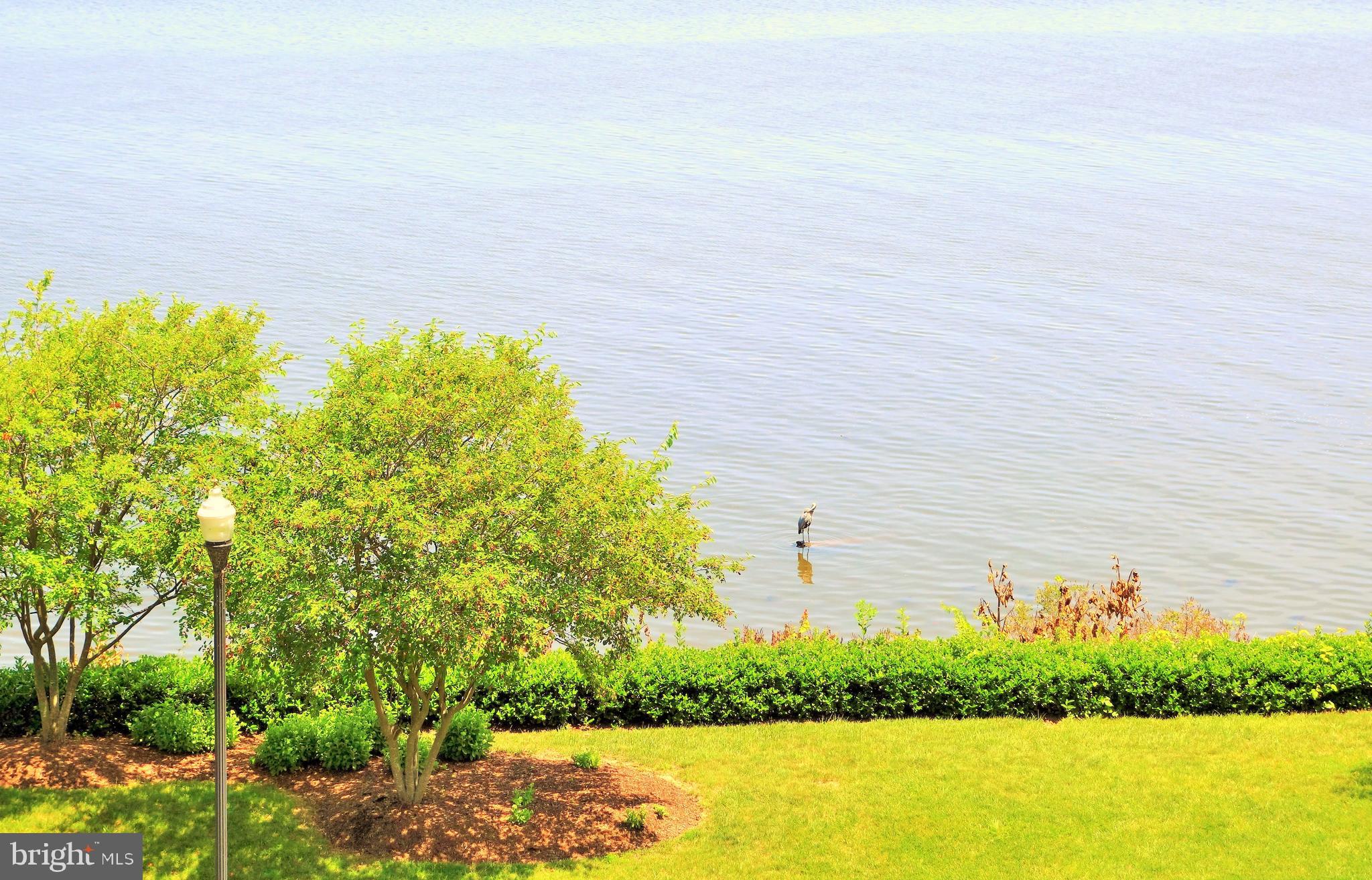 HARBOR VIEW - Residential Lease