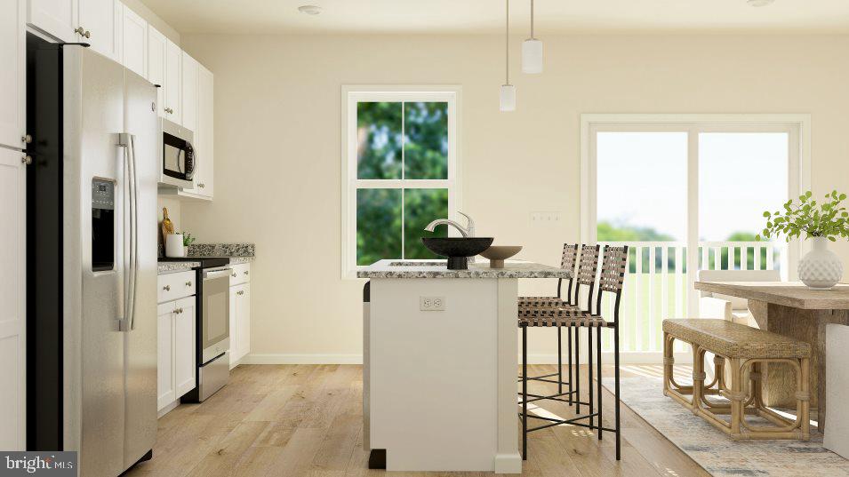 SHENANDOAH SPRINGS - Residential