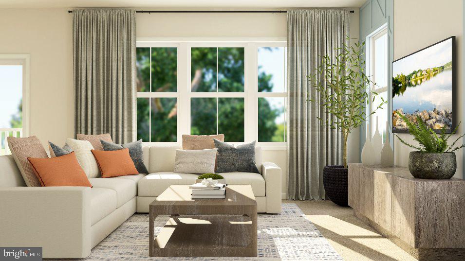 SHENANDOAH SPRINGS - Residential