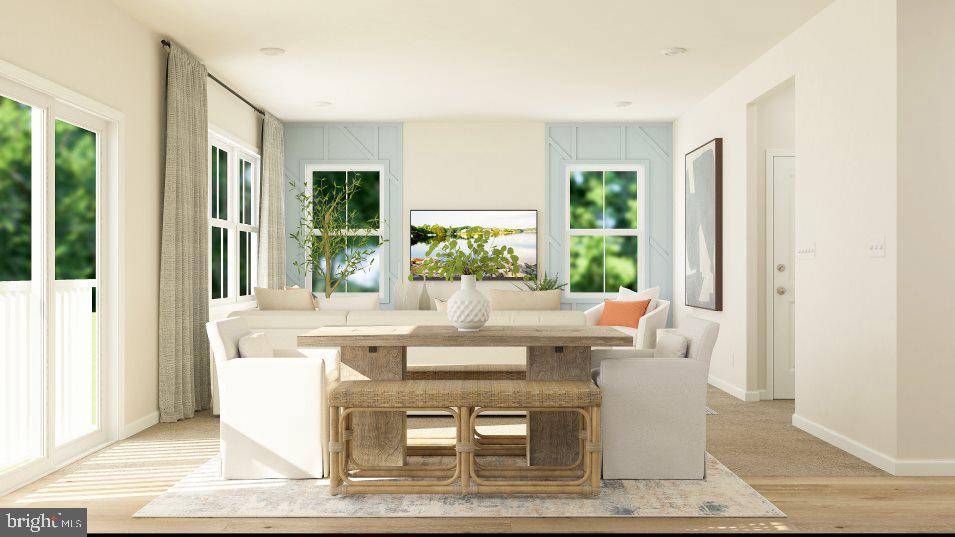 SHENANDOAH SPRINGS - Residential
