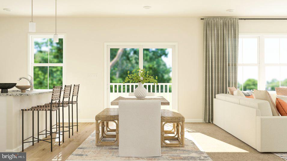 SHENANDOAH SPRINGS - Residential