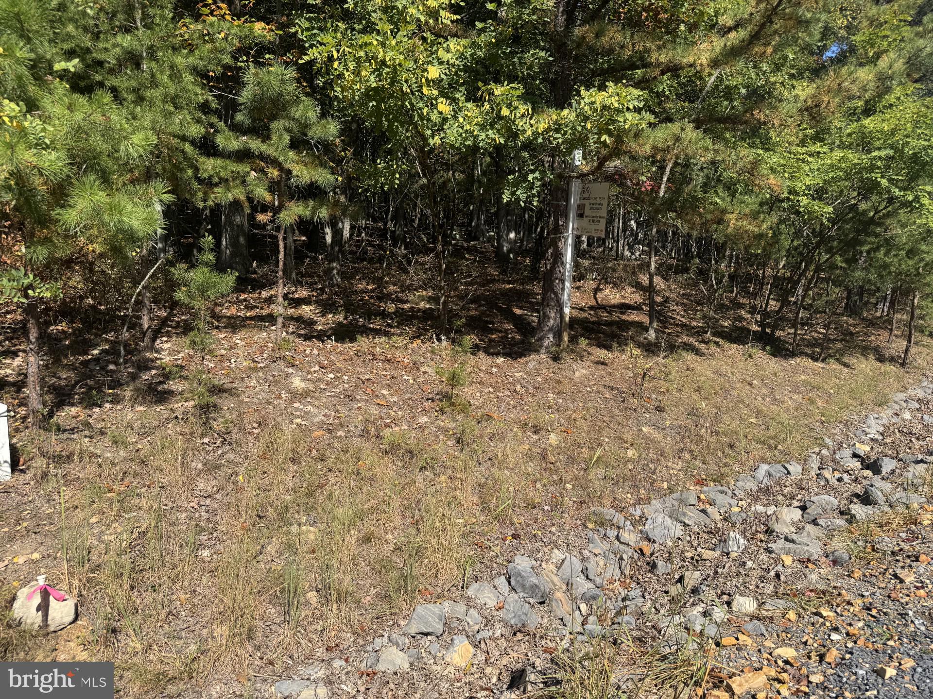 CACAPON EAST - Land