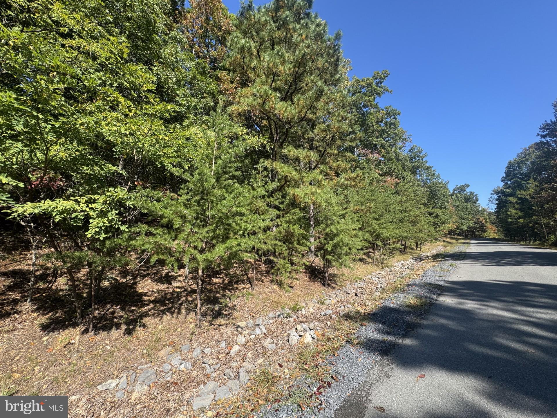 Escape to nature with this beautiful 2.5 acre wooded lot, perfect for building your dream home or a peaceful retreat. Surrounded by mature trees and natural beauty, this property offers the privacy you’ve been searching for while still being close to modern conveniences! This lot backs to Cacapon State Park and the park's main entrance is just minutes away! The community offers paved roads and underground electric! The perc is approved for a 3 bedroom home! Downtown Berkeley Springs is only 20 minutes away and downtown Winchester is about 40 minutes!