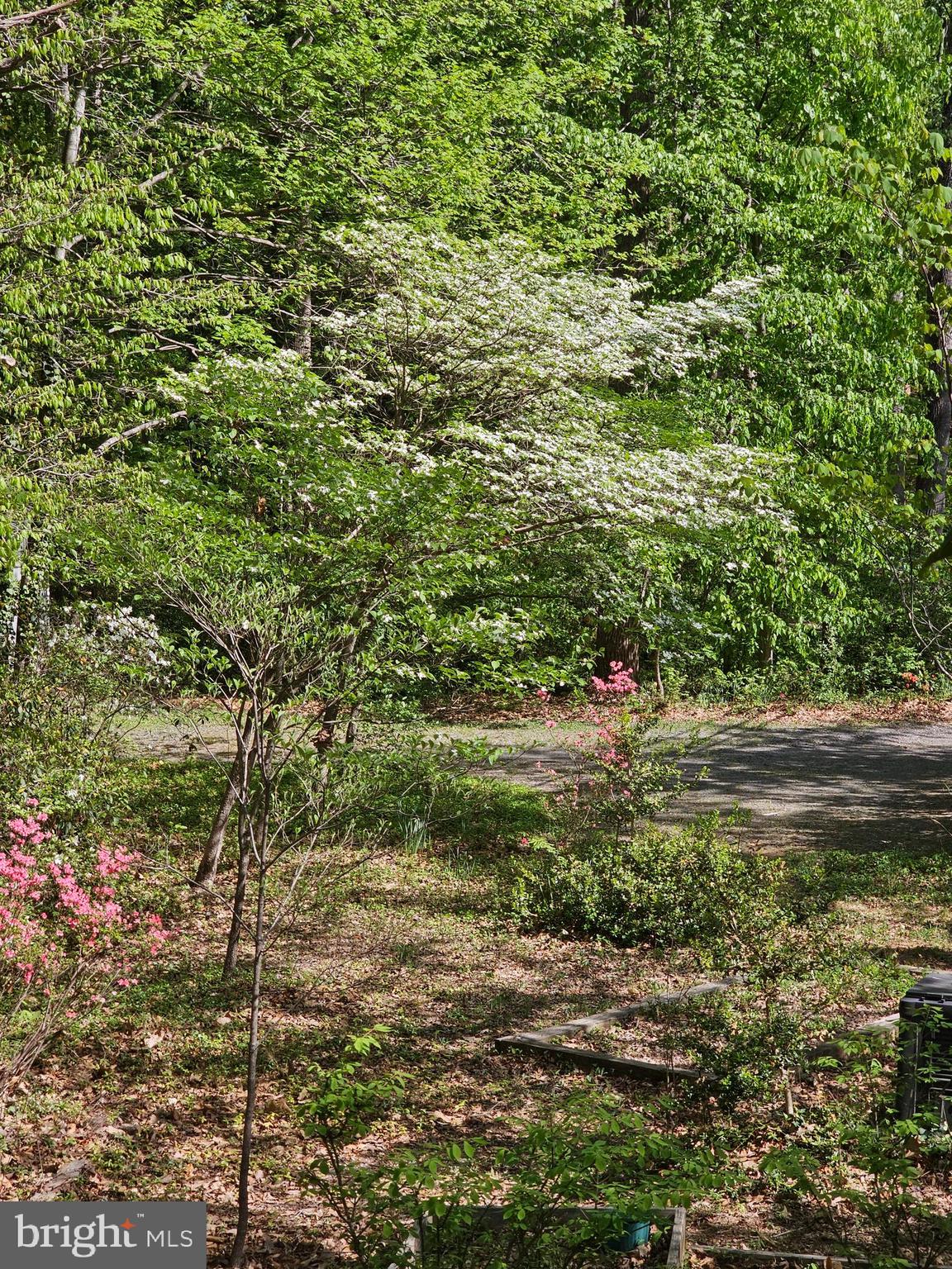 SHENANDOAH - Residential