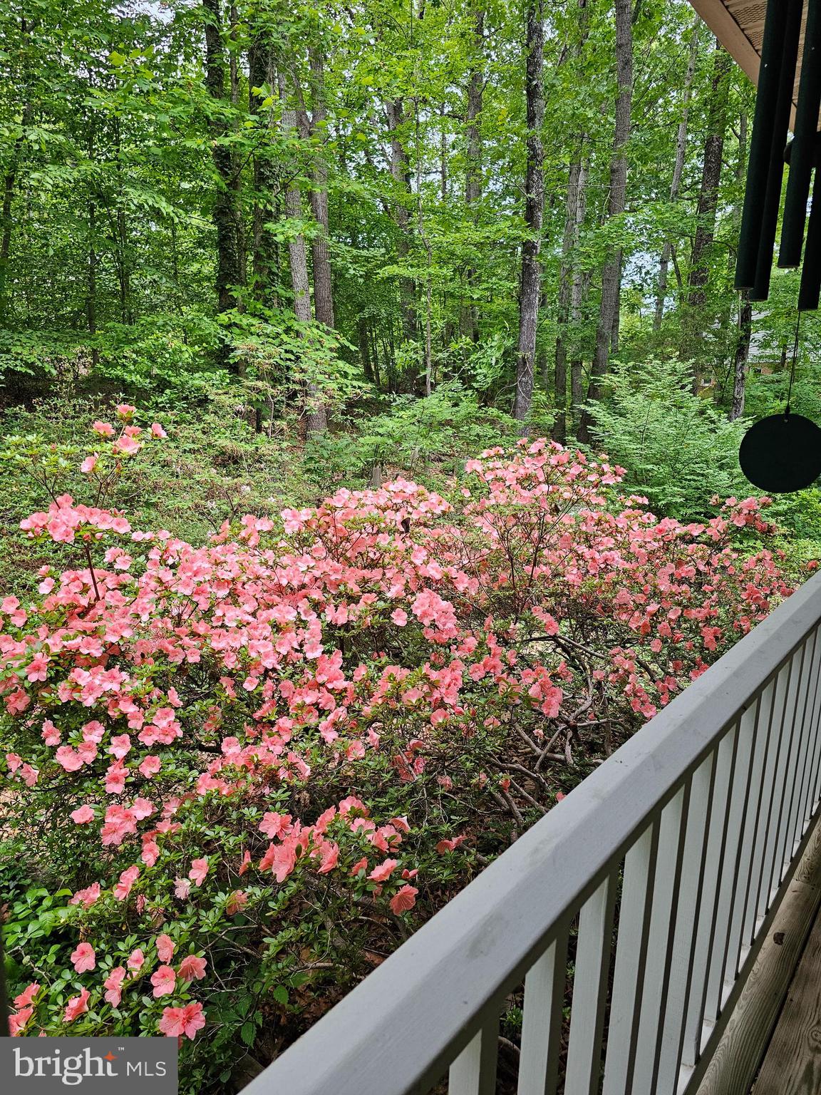 SHENANDOAH - Residential