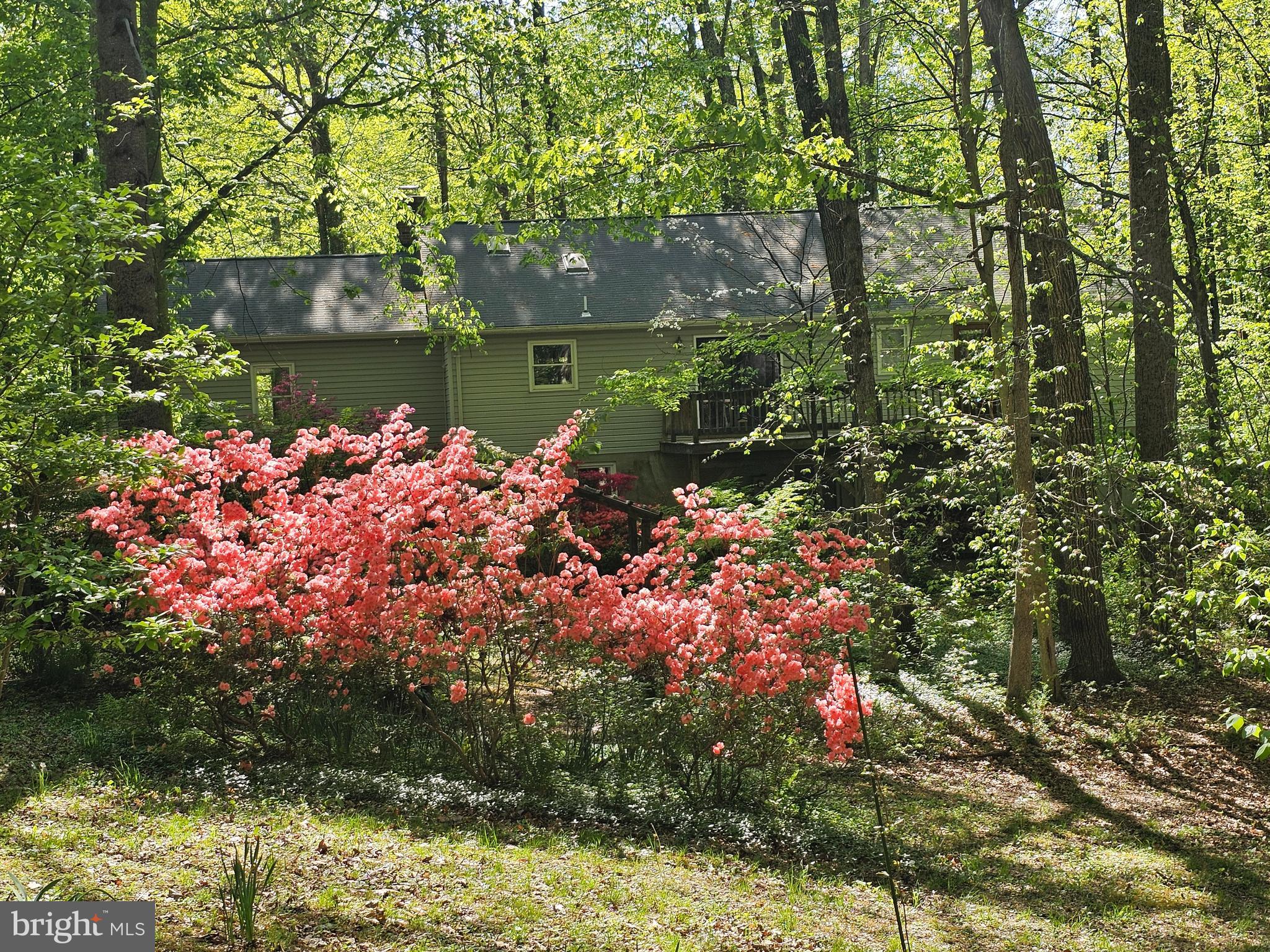 SHENANDOAH - Residential
