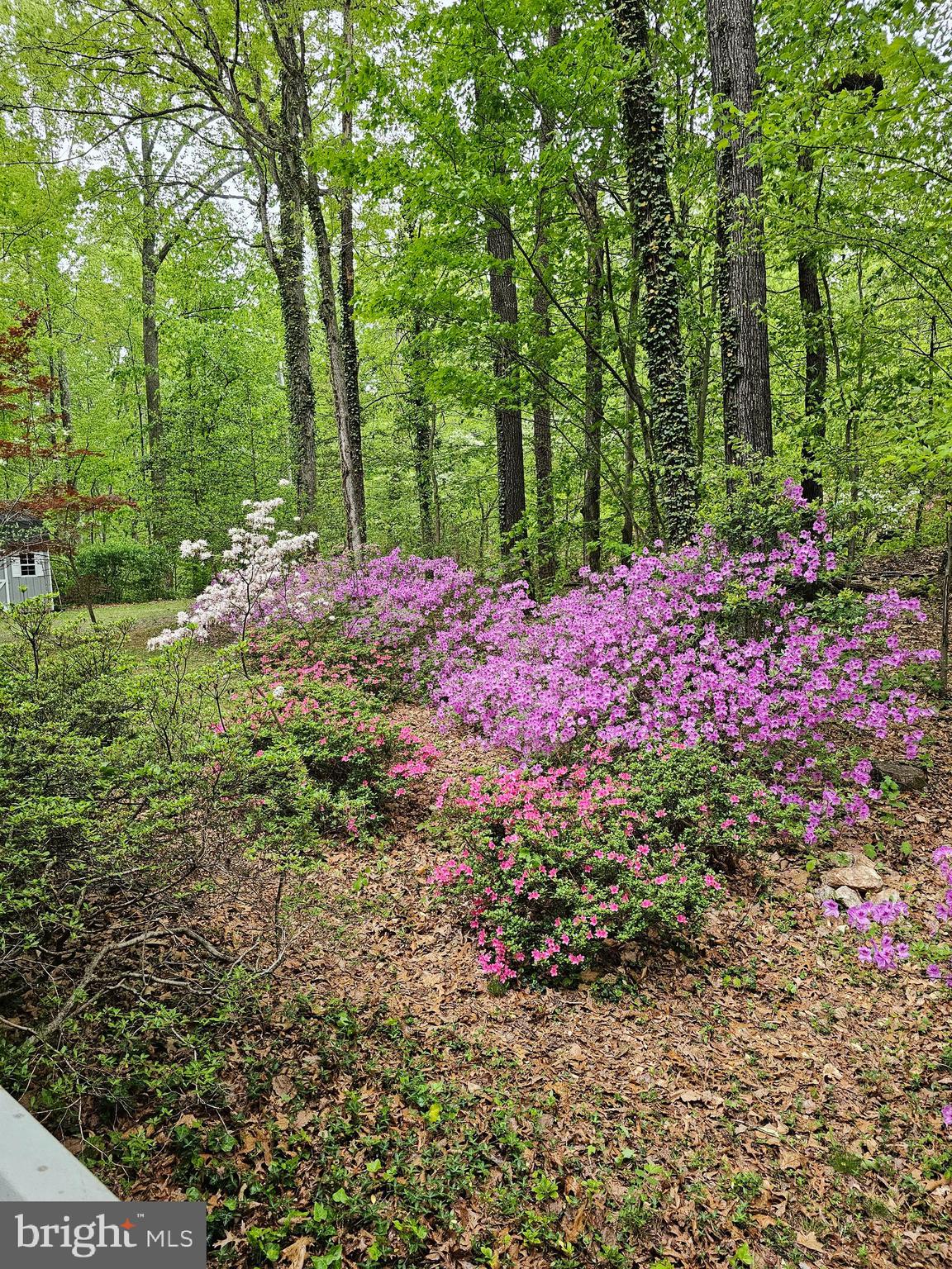 SHENANDOAH - Residential