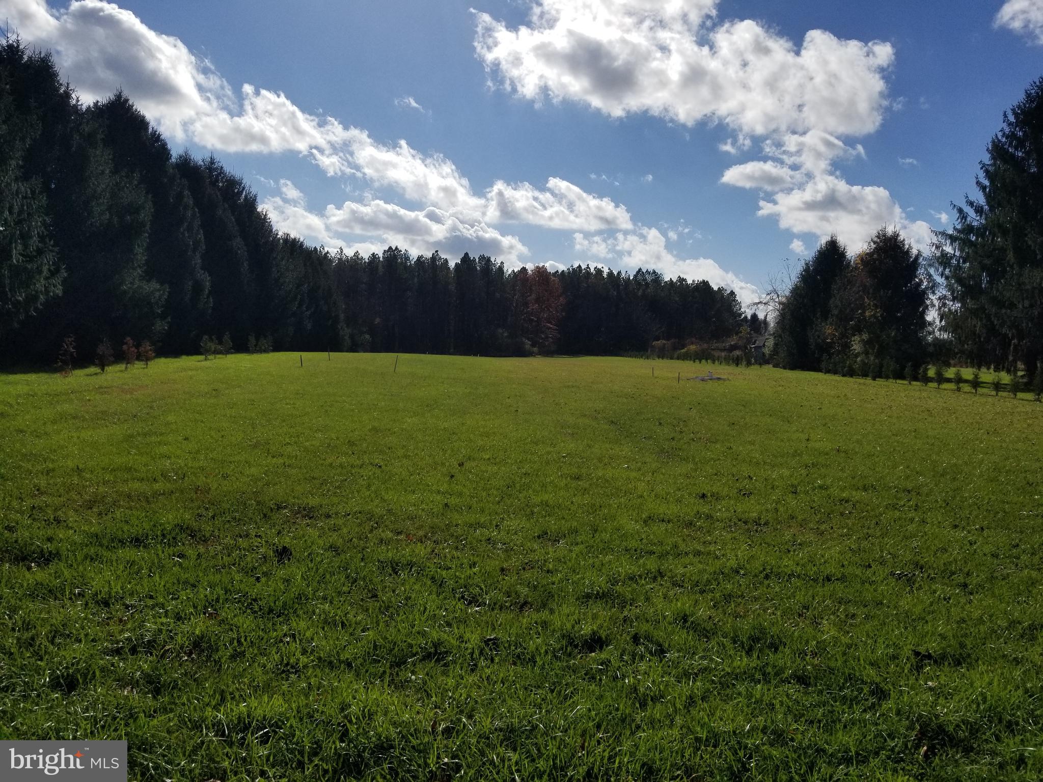 Build your dream home, or start with land! Just under 2 acres in Spring Grove School District. NO HOA, very private. This land backs up to woods owned by Heidelberg Twp, and will not be developed. Land has been approved for a EcoFLO Coco septic system for a 4 bedroom house. well drilled on site, owner planted over 100 pine trees, gorgeous views yet close to amenities.