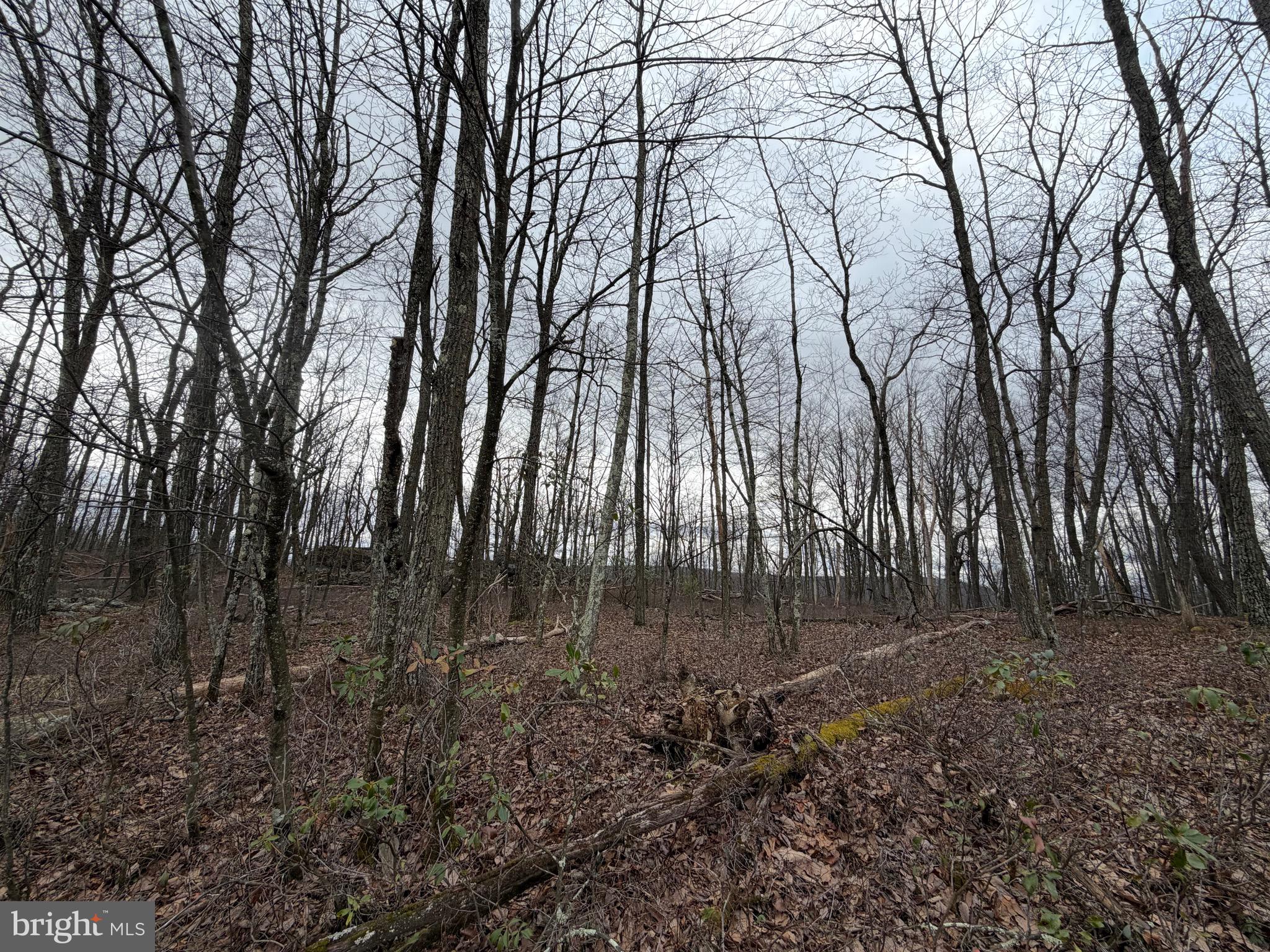 Priced to sell.  Cove Village is situated in the foothills of the Poconos and only 1 1/2 hours to New York. With the right excavation this lot could have gorgeous views.  The adjoining lot (287.1) is also for sale as a separate listing.  This could be where you build your getaway or your forever home.  With easy access to I-81, your commute to Hazleton, Wilkes-Barre, or Scranton is a breeze.  Bring your own builder and let's make your dreams come true.   Your building costs are lower here since public water and sewer are already in place, ready for you to connect through Aqua of Pa.  Do you desire a cabin or home where you can hunt, fish, ATV, snowmobile, and more?  How does approximately 750 acres of unoccupied prime hunting, ATV, and snowmobile riding land sound to you?  Yes, that's right!  Adjoining the residential portion of Cove Village is just that for residents of the community and their guests!  Driving through the community, the peace and tranquility will envelop you.  The homes vary from rustic cabins, chalets, traditional ranch, two-story homes, exquisite new construction, and even dreamy mountain log homes.  There really is something for everyone.  The approximately 278 acres of residential homes and lots are occupied by full-time residents, part-time vacation homes, and even some snowbird second homes.  Cove Village is located in the mountains of Northeastern Pennsylvania and offers an abundance of amenities including a swimming pool, stocked fishing lake, a basketball court, tennis courts, a volleyball court, 2 playgrounds, a baseball field, ATV paths, hunting, a mini golf course, walking paths, and year-round Community events.  I can't forget to mention the beautiful lodge ideal to rent for family gatherings.   This lot and community just might be exactly what you've been looking for.  Air B and B are not permitted. Camping on vacant lots is not permitted.  Mobile homes are not permitted.  The minimum square footage when building is 1400 square feet.  The community maintains the roads and snow removal.  Trash collection is also provided.   An appointment is required to view due to the gated community.  Call to schedule your tour today!
